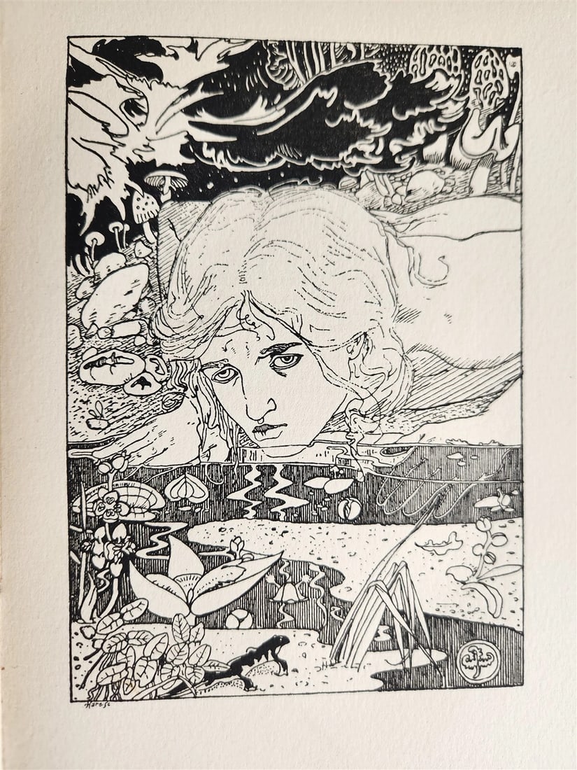 1896 EVERGREEN NORTHERN SEASONAL BOOK OF SUMMER antique ARTS & CRAFTS ILLUSTR. (1 of 18)