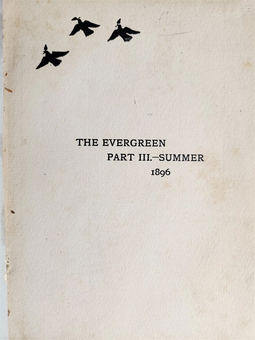 1896 EVERGREEN NORTHERN SEASONAL BOOK OF SUMMER antique ARTS & CRAFTS ILLUSTR. - 5