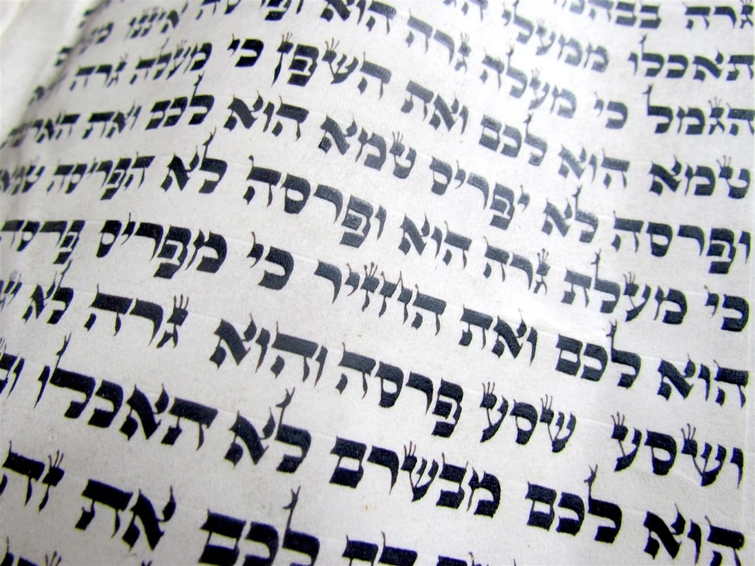 TORAH SCROLL FRAGMENT MANUSCRIPT VELLUM ANTIQUE BIBLE LEVITICUS 8:17-11:22 - 3