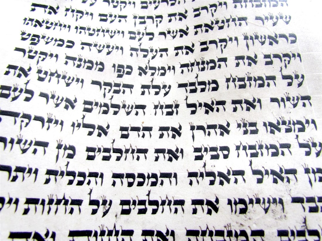 TORAH SCROLL FRAGMENT MANUSCRIPT VELLUM ANTIQUE BIBLE LEVITICUS 8:17-11:22 - 4