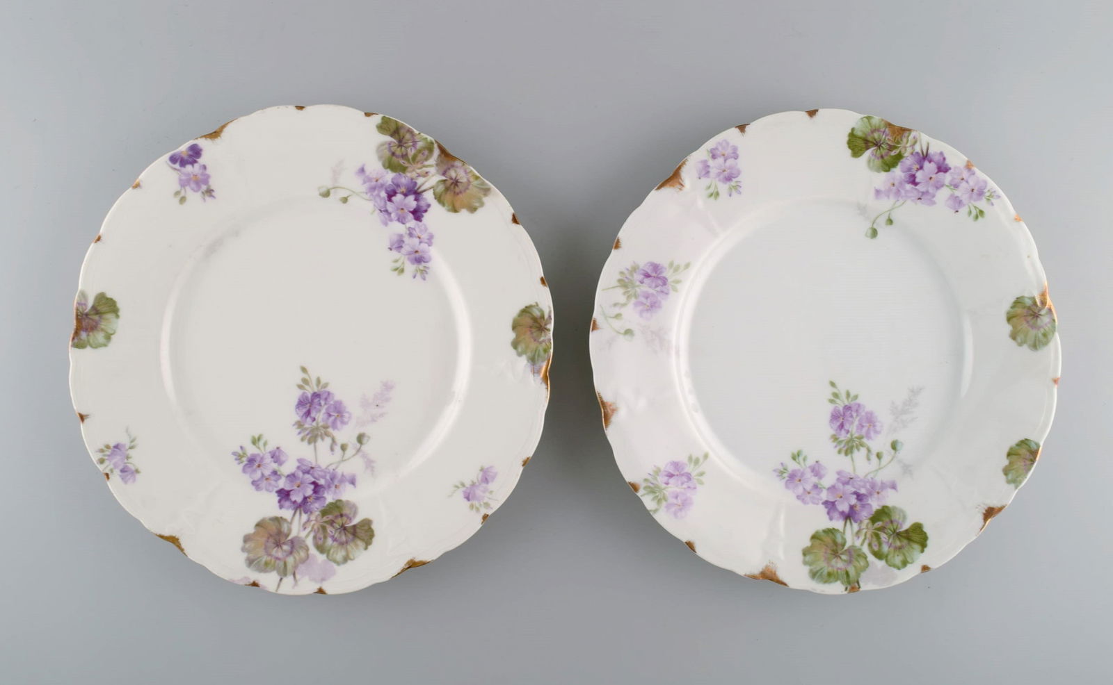 Rosenthal, Germany. Six Iris dinner plates in hand-painted porcelain with flowers and gold - 2