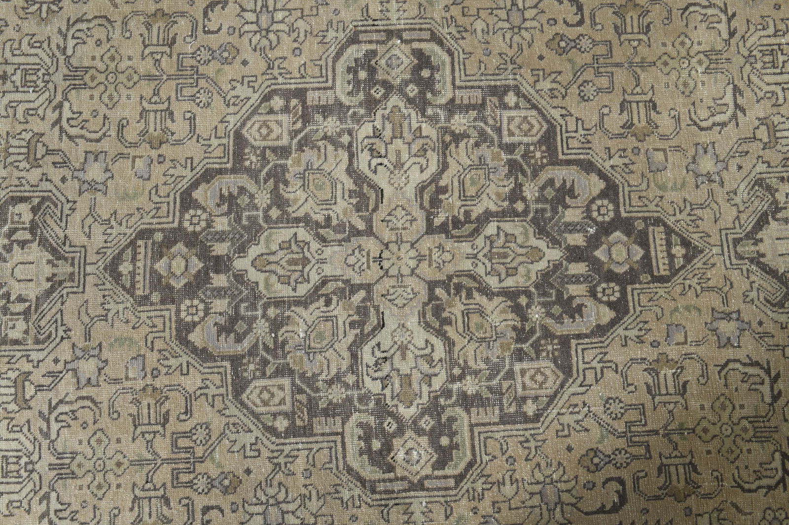 9.3x12.5 ft, PERSIAN MINIMALIST RUG - 3