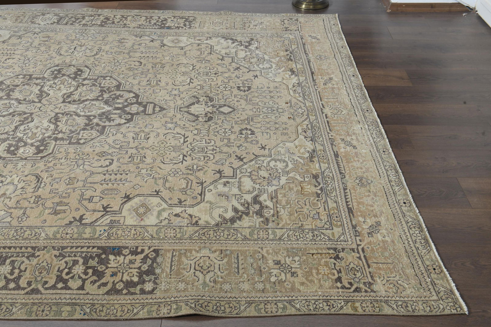 9.3x12.5 ft, PERSIAN MINIMALIST RUG - 5