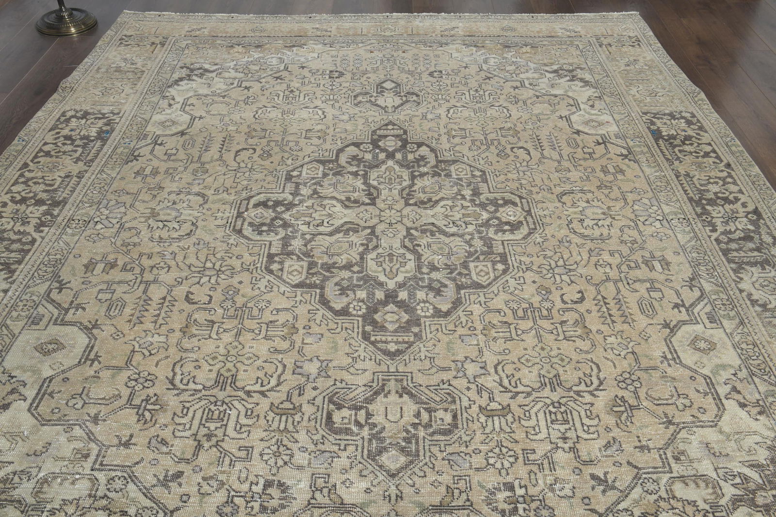 9.3x12.5 ft, PERSIAN MINIMALIST RUG - 7
