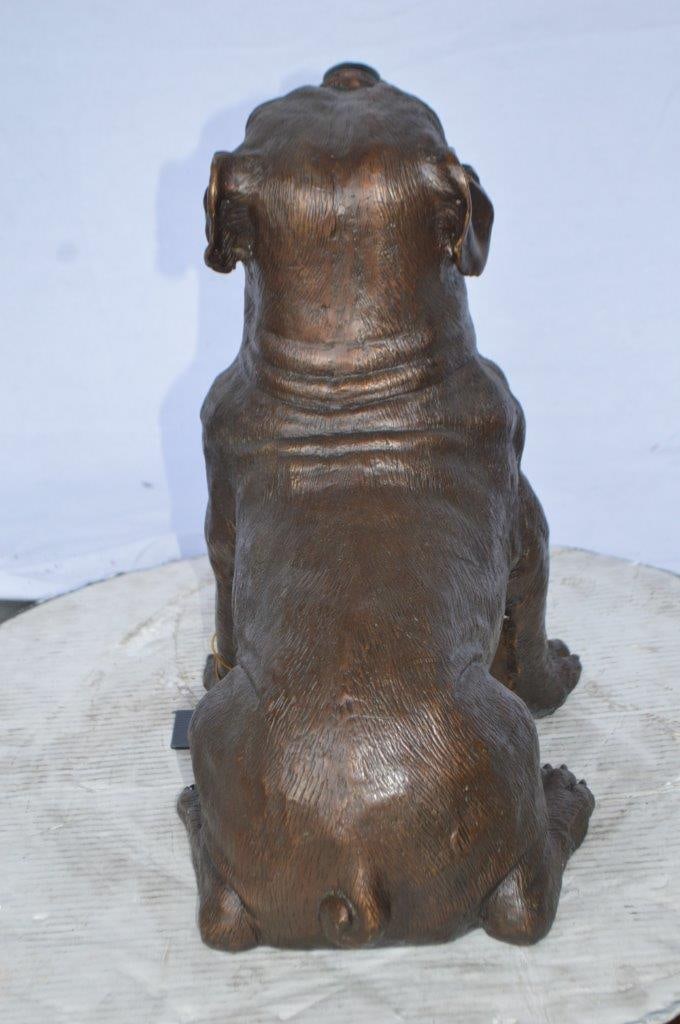 Beautiful bulldog bronze statue - Size: 16"L x 7"W x 16"H. - 8