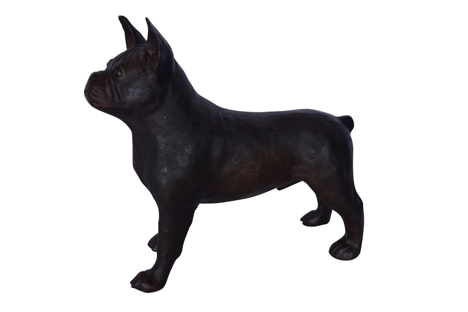 French Bulldog Standing Made of Bronze Statue - Size: 9"L x 20"W x 18"H.: Title:French Bulldog Standing Made of Bronze Statue - Size: 9"L x 20"W x 18"H. Description:Enjoy this life size bronze statue of a French Bulldog. The breed is the result of a cross between English Bu