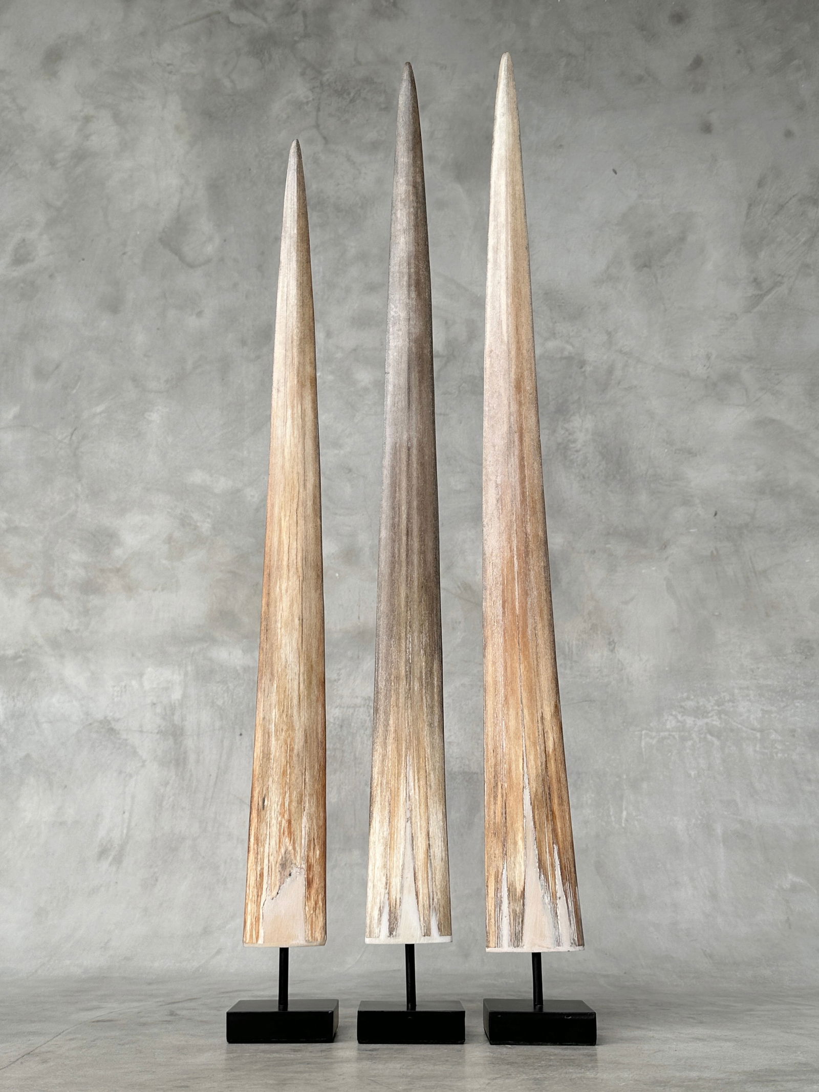 Swordfish tusk trio with custom stands - 2
