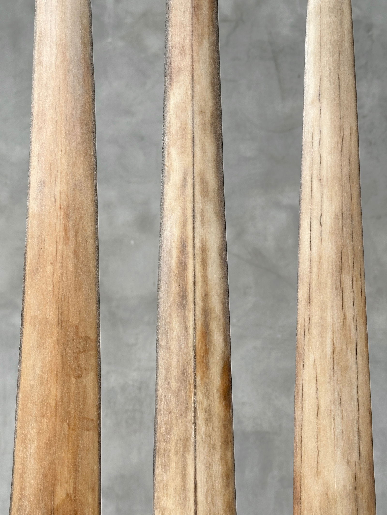 Swordfish tusk trio with custom stands - 6