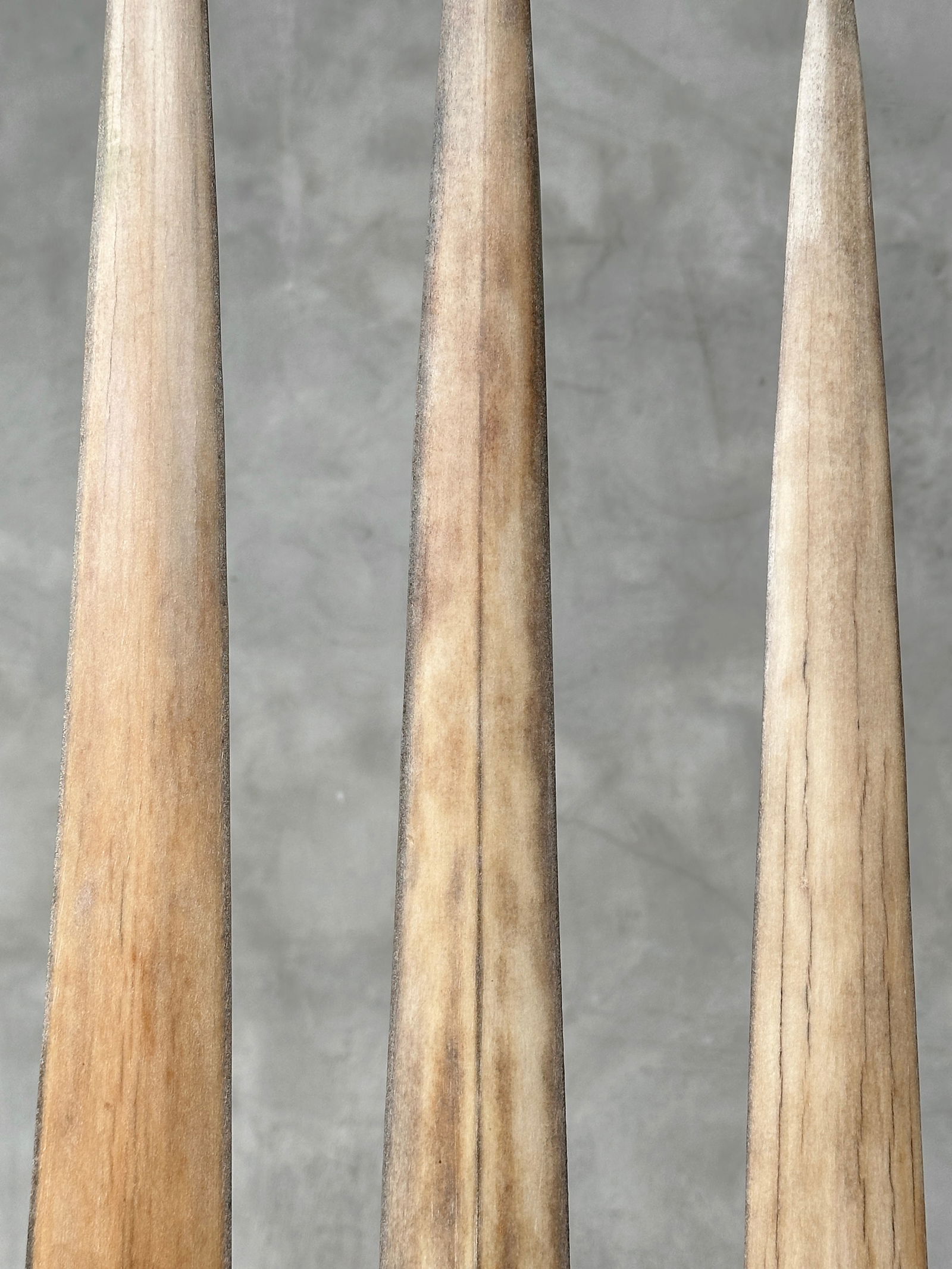 Swordfish tusk trio with custom stands - 7