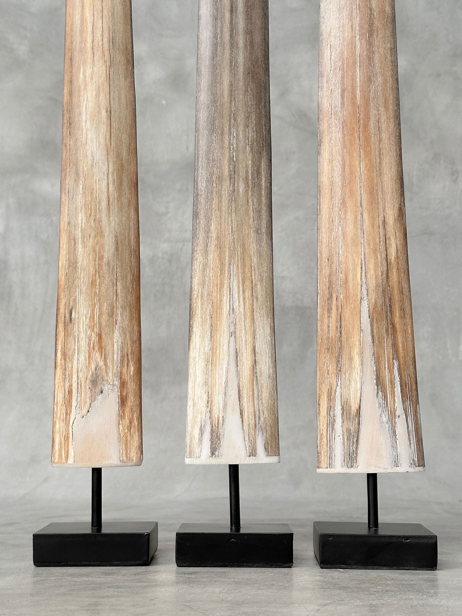 Swordfish tusk trio with custom stands - 9
