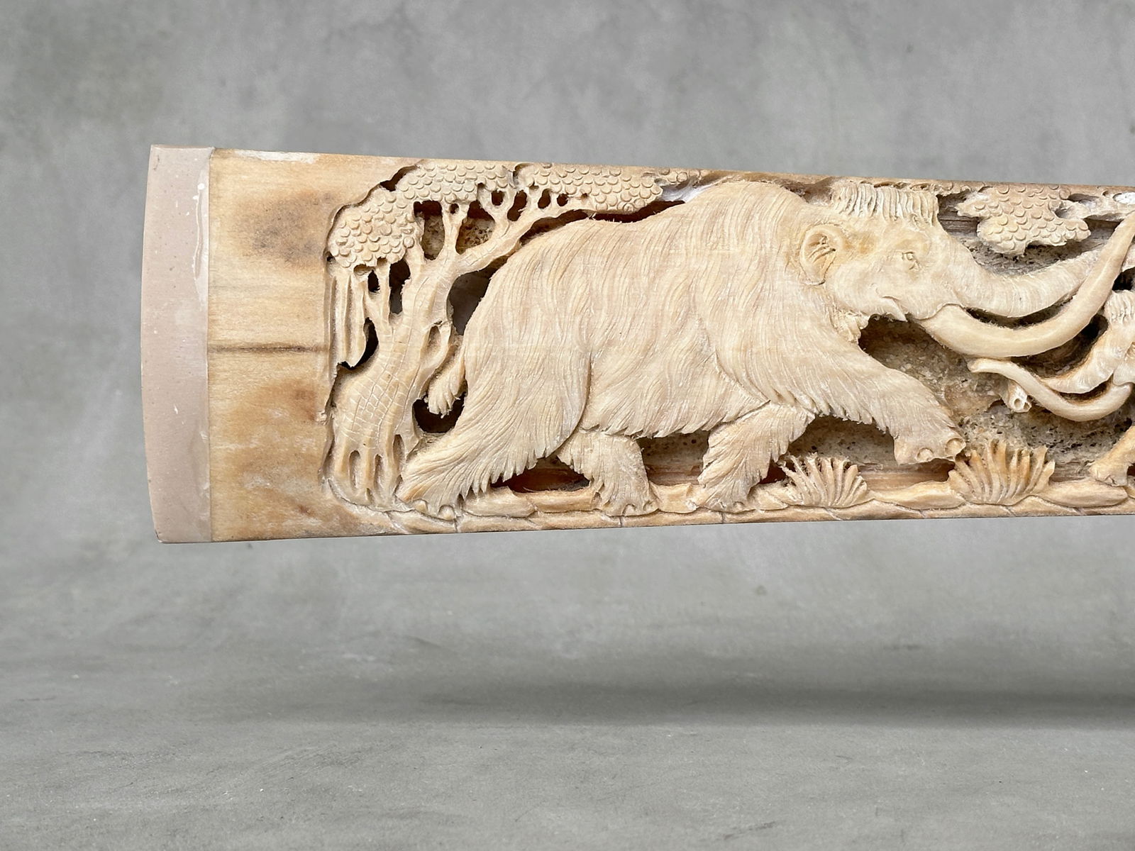 Extra large engraved Swordfish rostrum - Prehistoric Woolly Mammoth Scene - 5