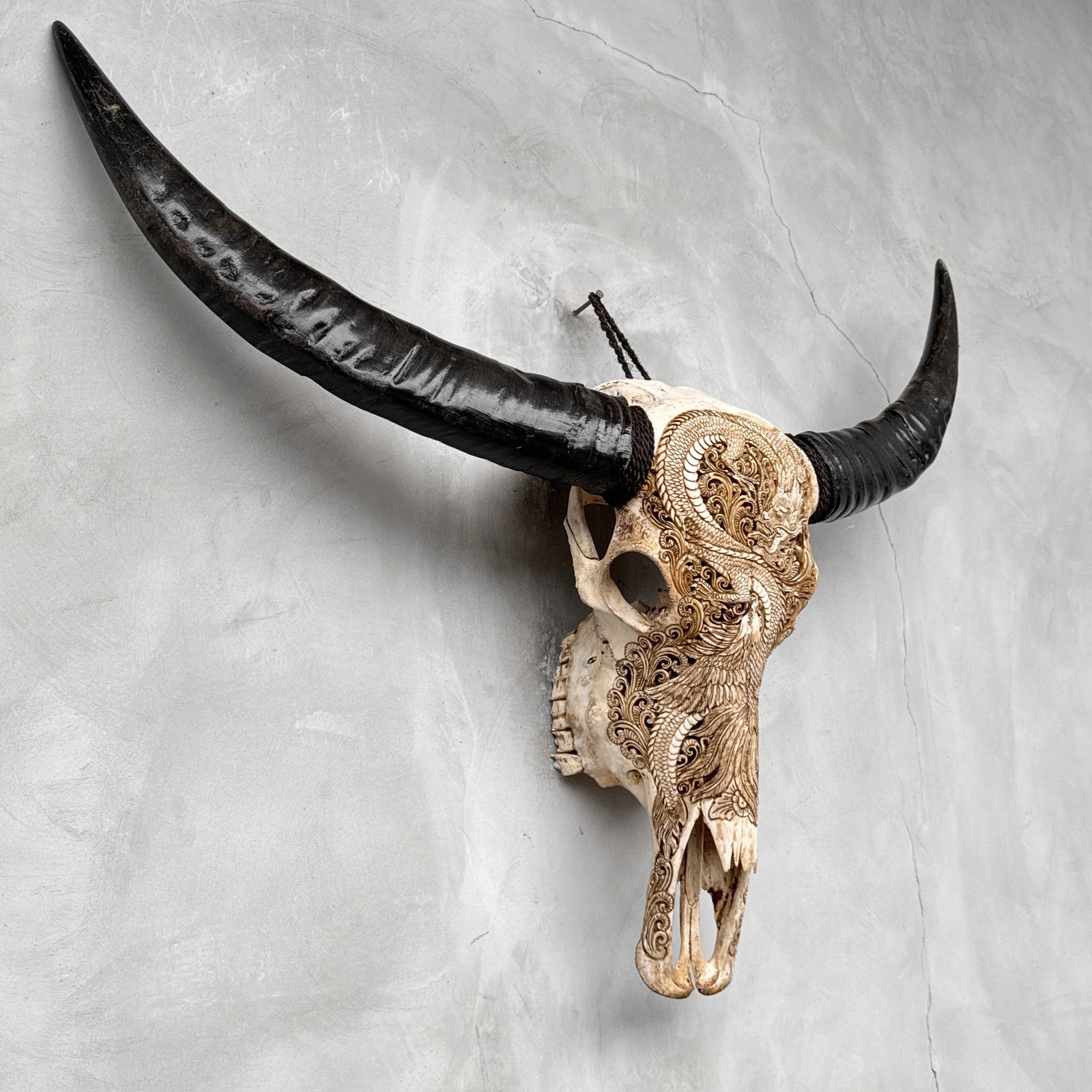 Antique brown water buffalo - Dragon phoenix motif - 5