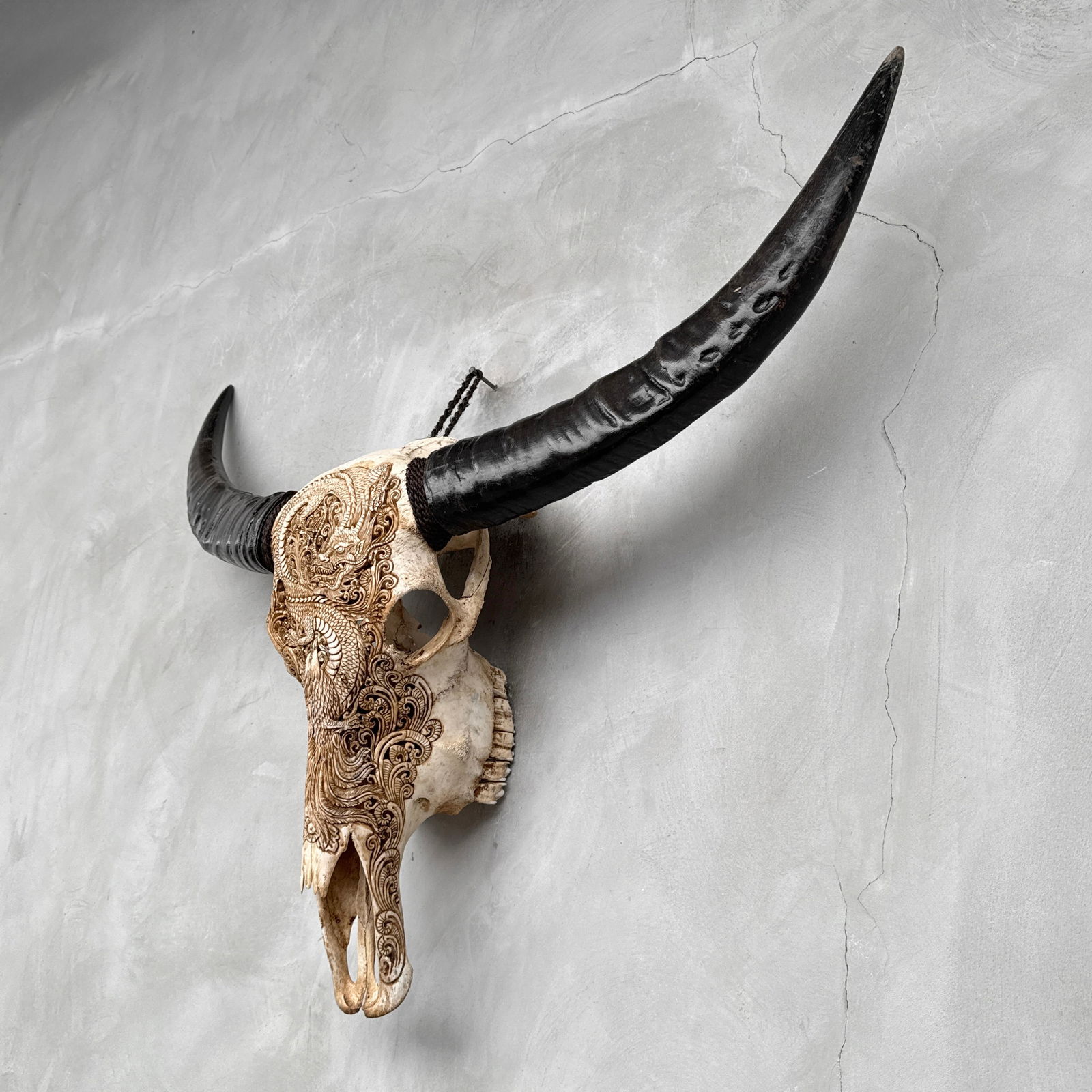 Antique brown water buffalo - Dragon phoenix motif - 7