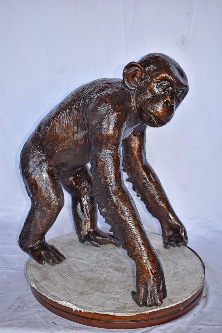Chimpanzee Standing and Looking around Bronze Statue - Size: 24" x 20" x 28"H - 10