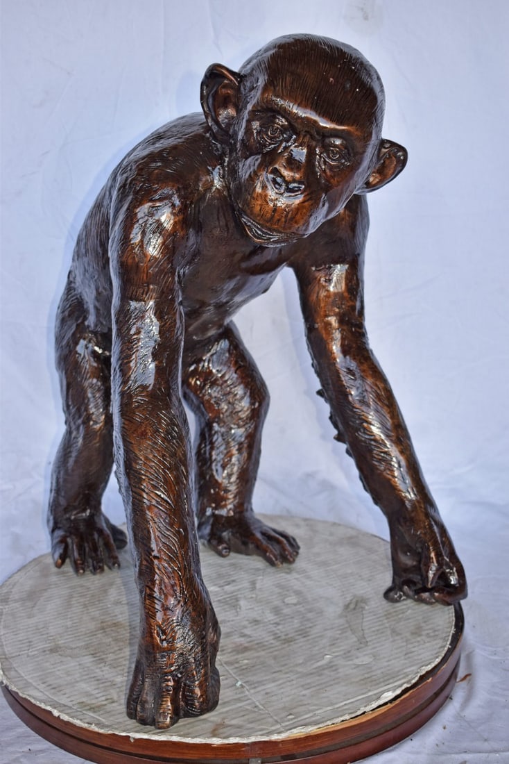 Chimpanzee Standing and Looking around Bronze Statue - Size: 24" x 20" x 28"H - 12