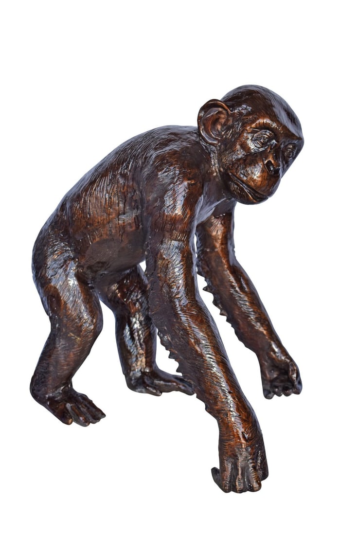 Chimpanzee Standing and Looking around Bronze Statue - Size: 24" x 20" x 28"H (1 of 13)