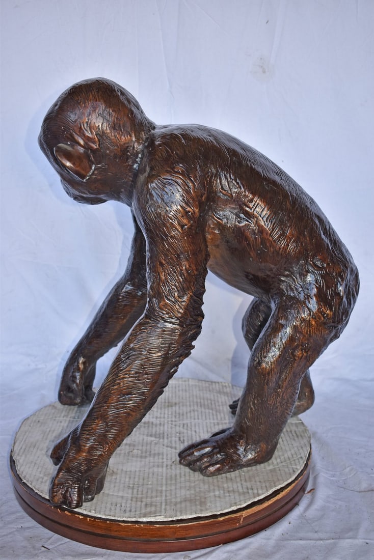 Chimpanzee Standing and Looking around Bronze Statue - Size: 24" x 20" x 28"H - 3