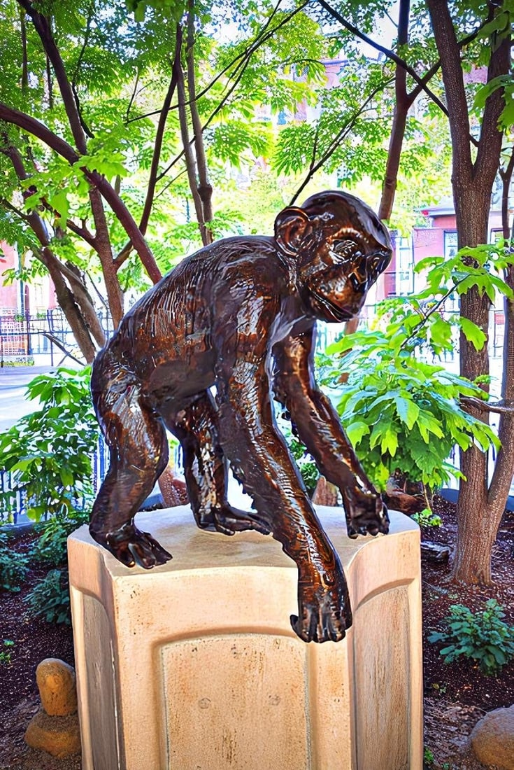 Chimpanzee Standing and Looking around Bronze Statue - Size: 24" x 20" x 28"H - 4