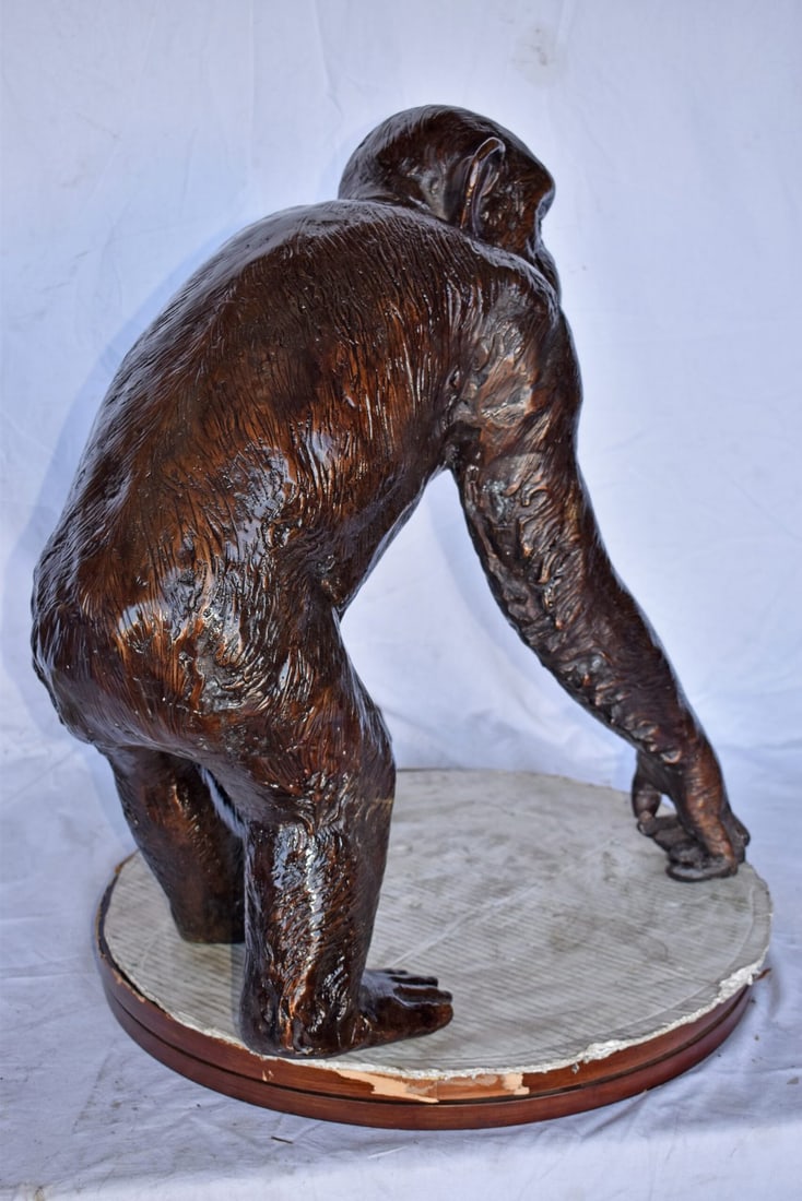 Chimpanzee Standing and Looking around Bronze Statue - Size: 24" x 20" x 28"H - 7