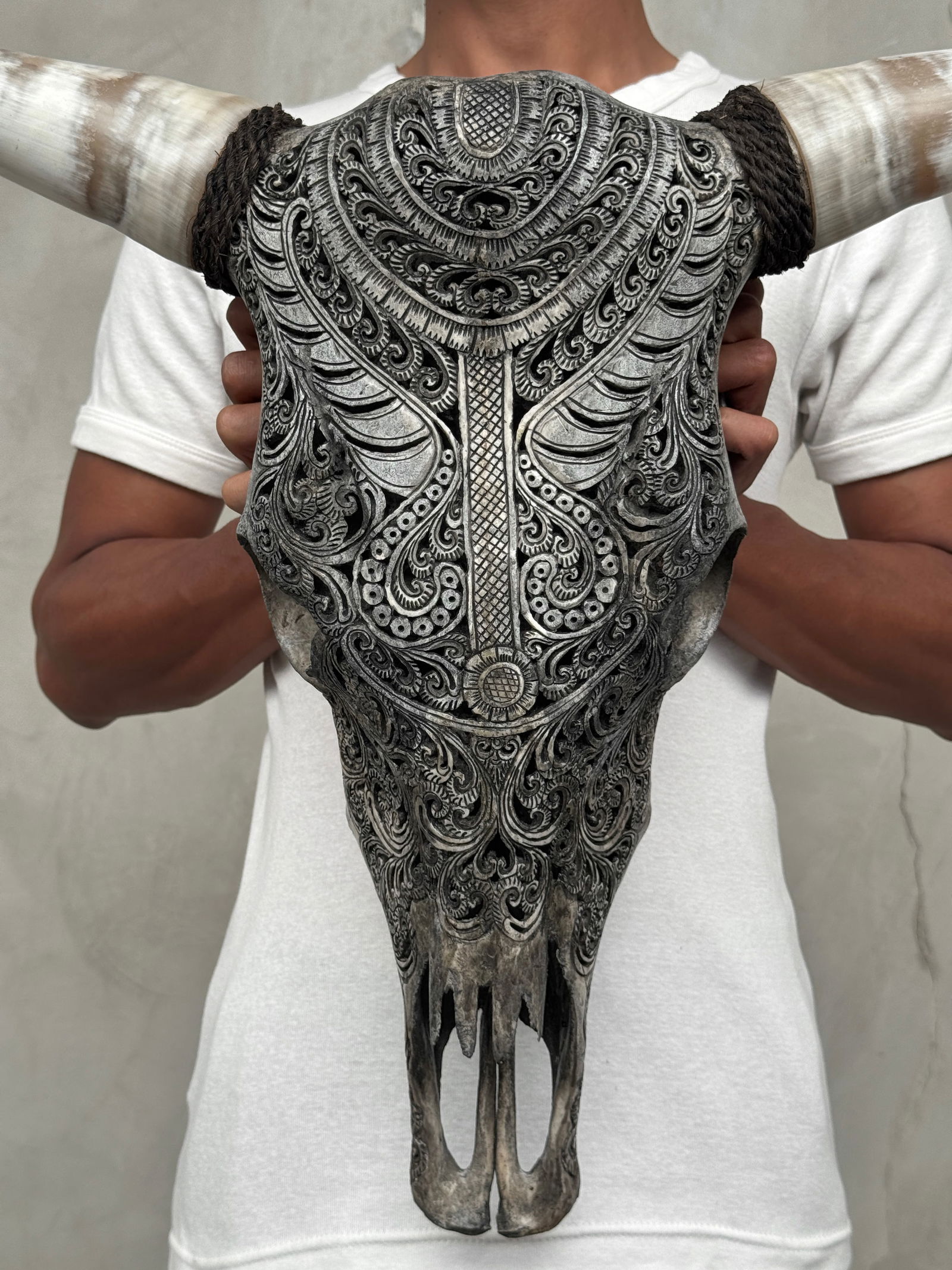 Stunning carved grey bull's skull - Badong motif - 2