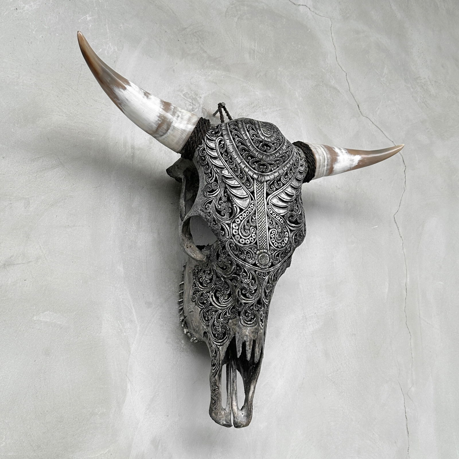 Stunning carved grey bull's skull - Badong motif - 6