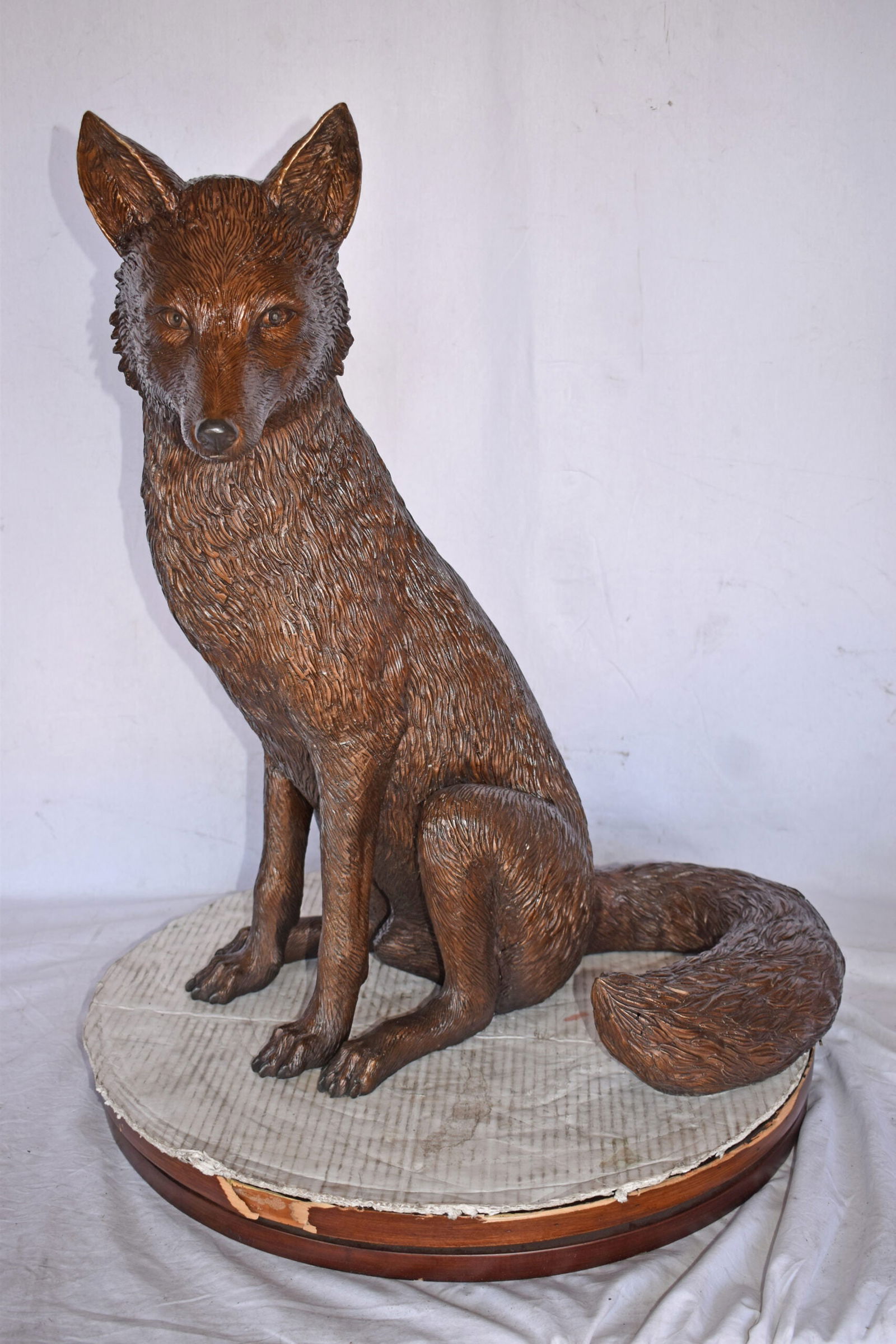 Fox Sitting Life Size Bronze Statue - Size: 20"L x 15"W x 28"H. - 11