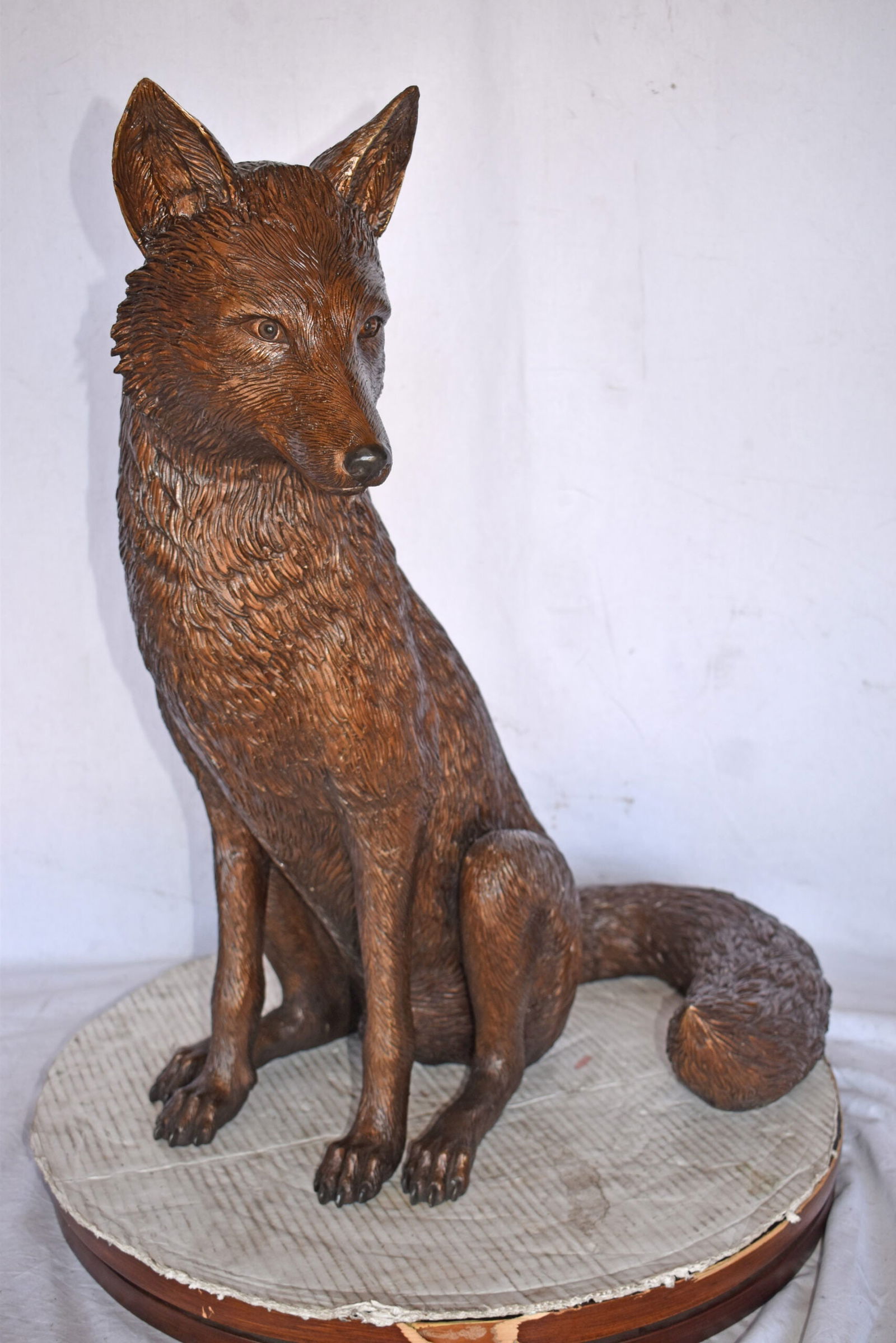 Fox Sitting Life Size Bronze Statue - Size: 20"L x 15"W x 28"H. - 12