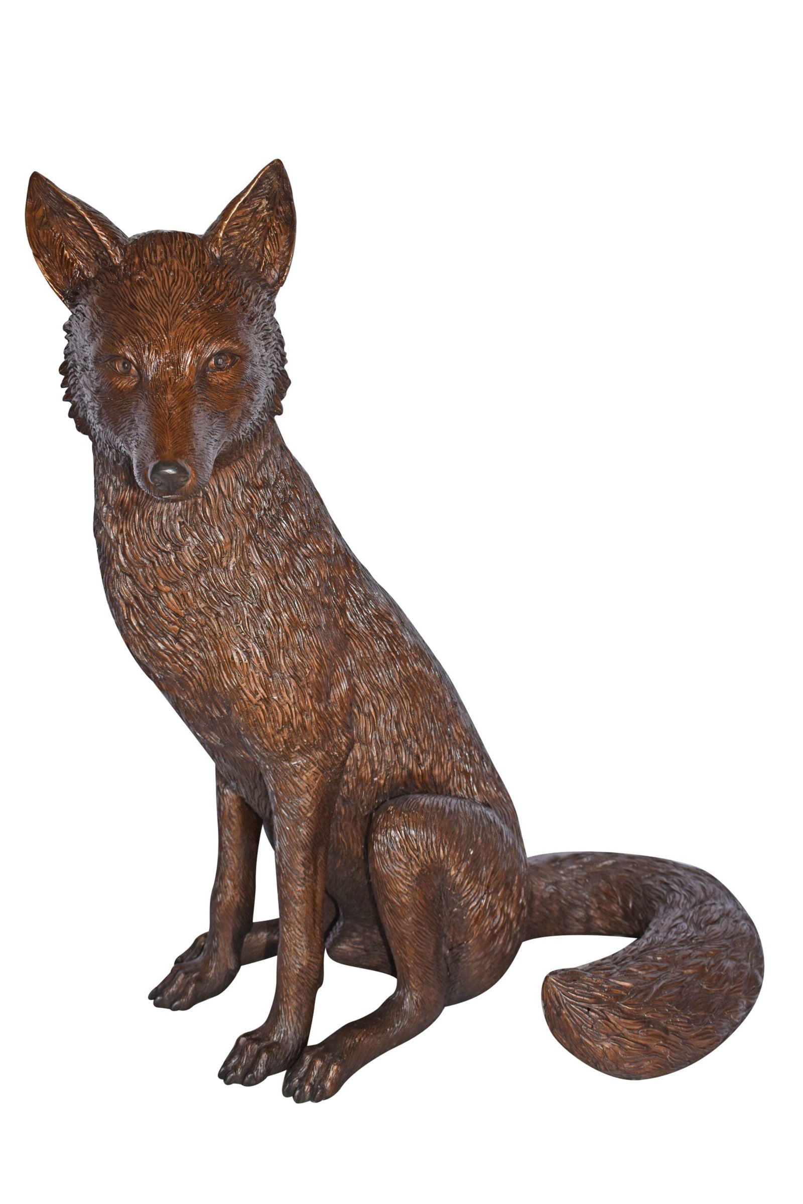 Fox Sitting Life Size Bronze Statue - Size: 20"L x 15"W x 28"H.: Title:Fox Sitting Life Size Bronze Statue - Size: 20"L x 15"W x 28"H.Description:A stunning Life size Fox sculpture with fabulous muscle tone and poise that would make a great ornament for any bronze