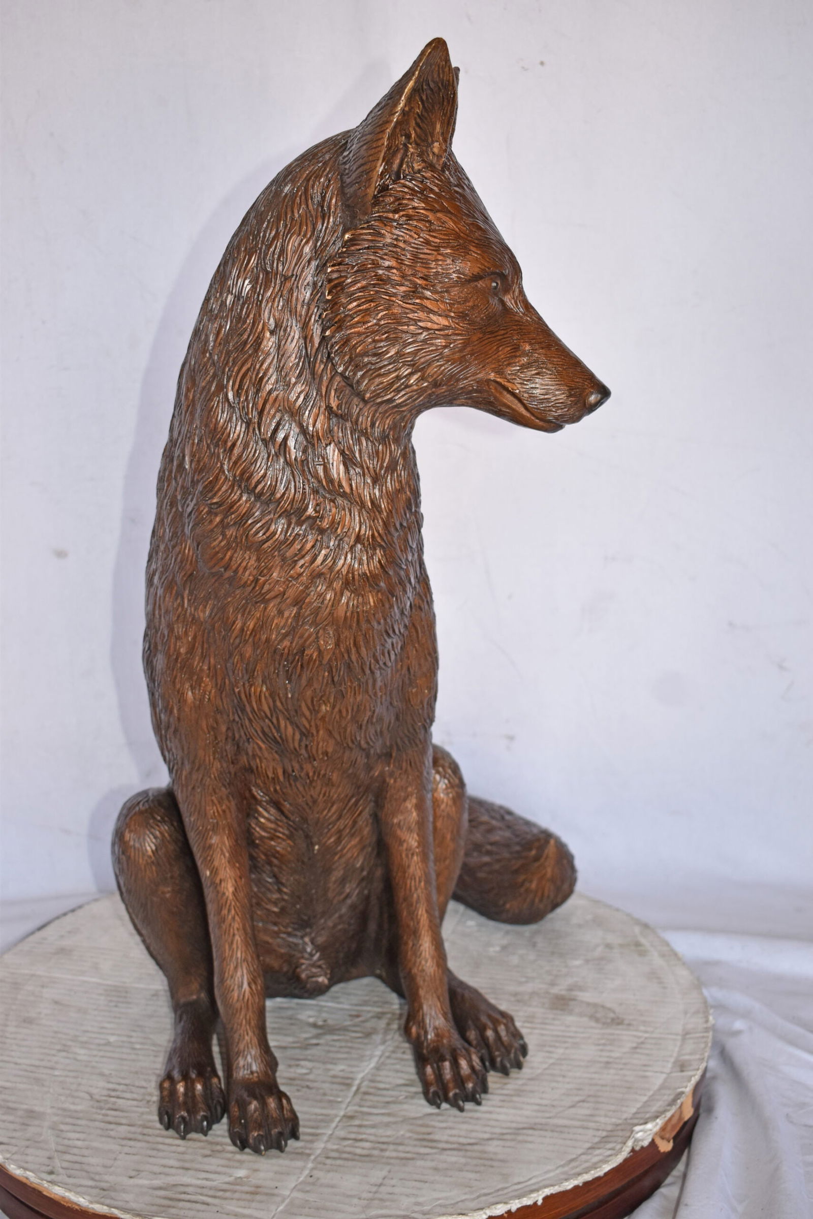 Fox Sitting Life Size Bronze Statue - Size: 20"L x 15"W x 28"H. - 7