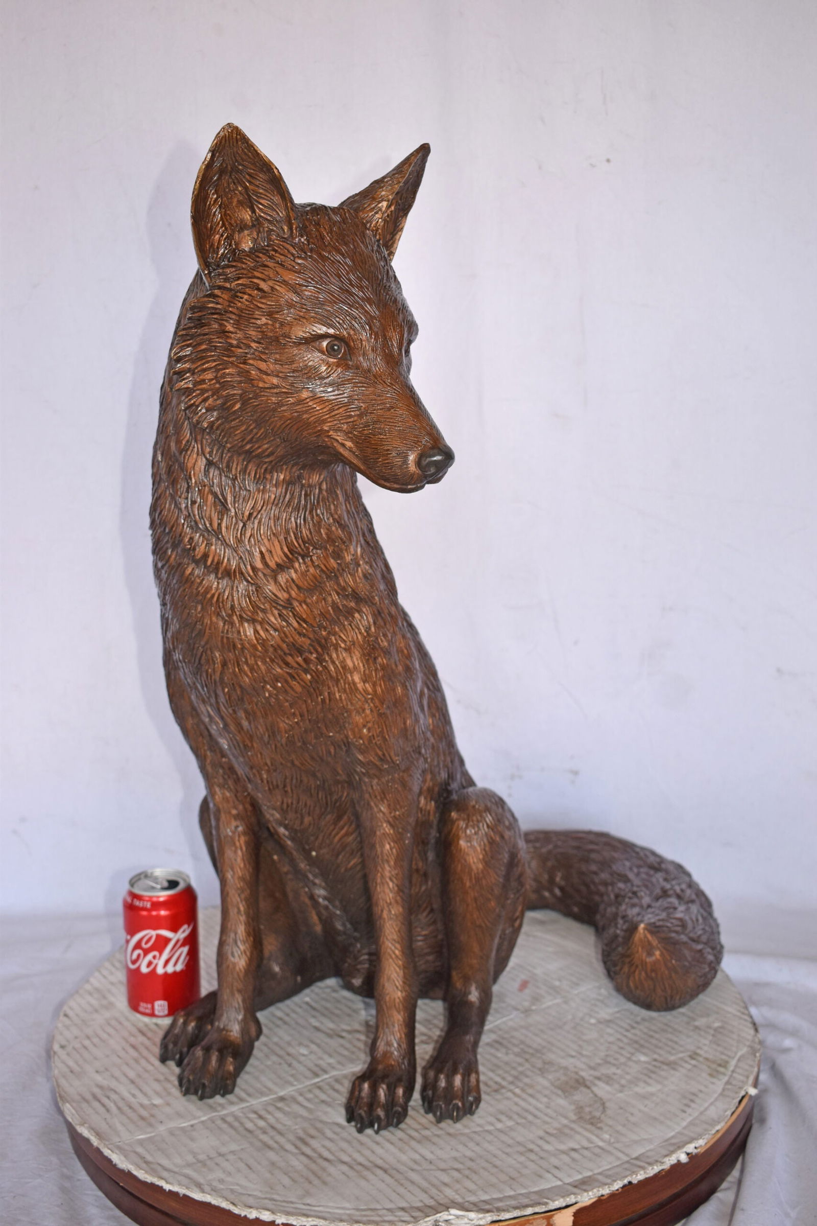 Fox Sitting Life Size Bronze Statue - Size: 20"L x 15"W x 28"H. - 8