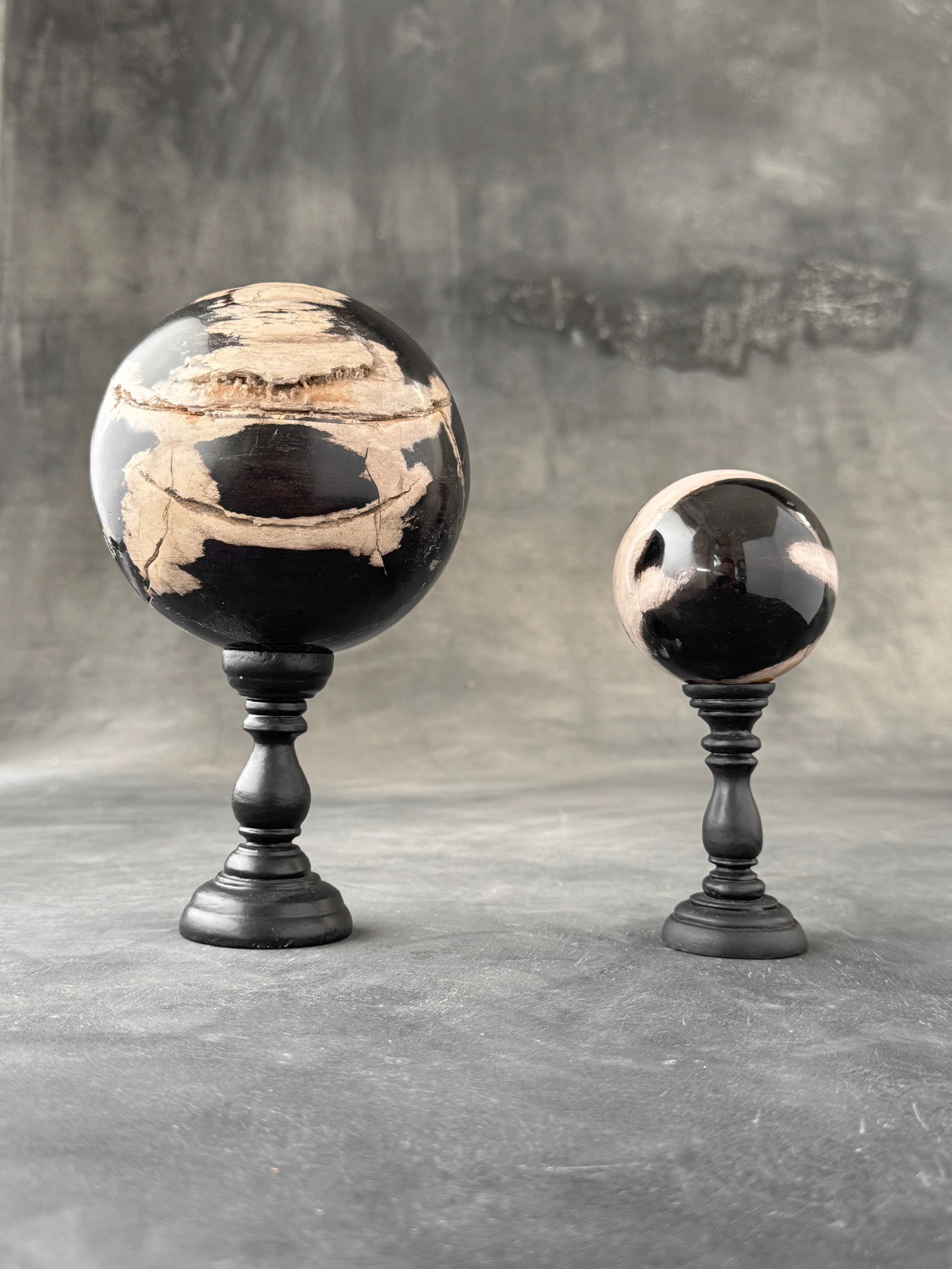 Wonderful set of 2 petrified wood spheres with stands (1 of 10)