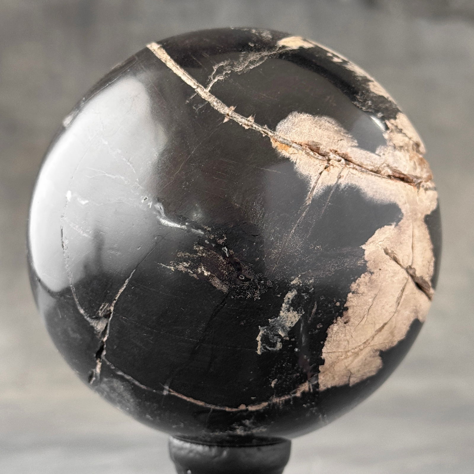 Wonderful set of 2 petrified wood spheres with stands - 3