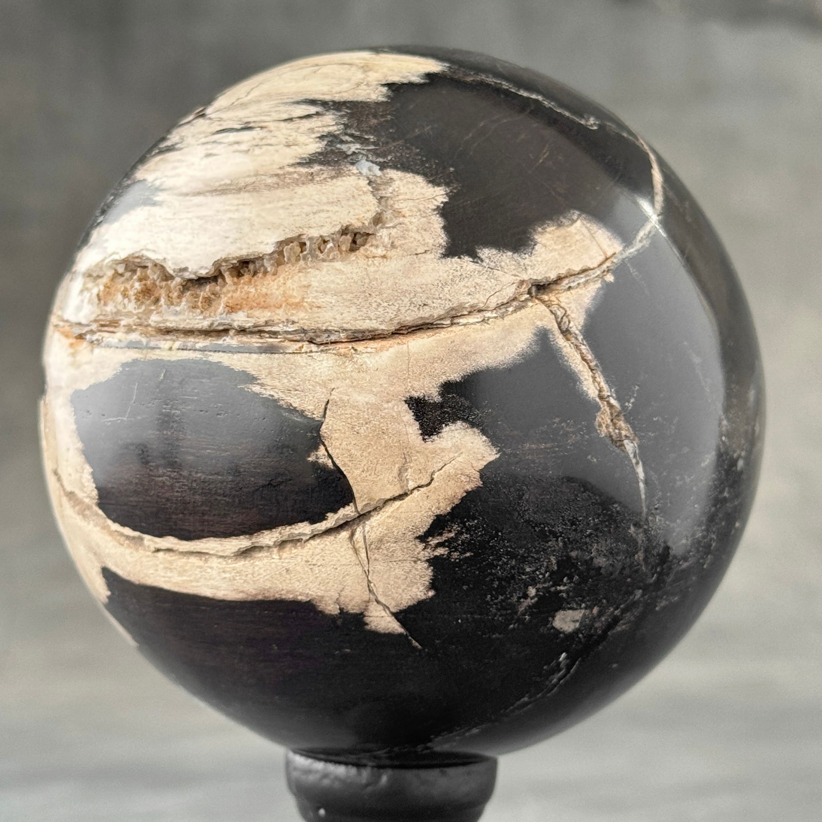 Wonderful set of 2 petrified wood spheres with stands - 4