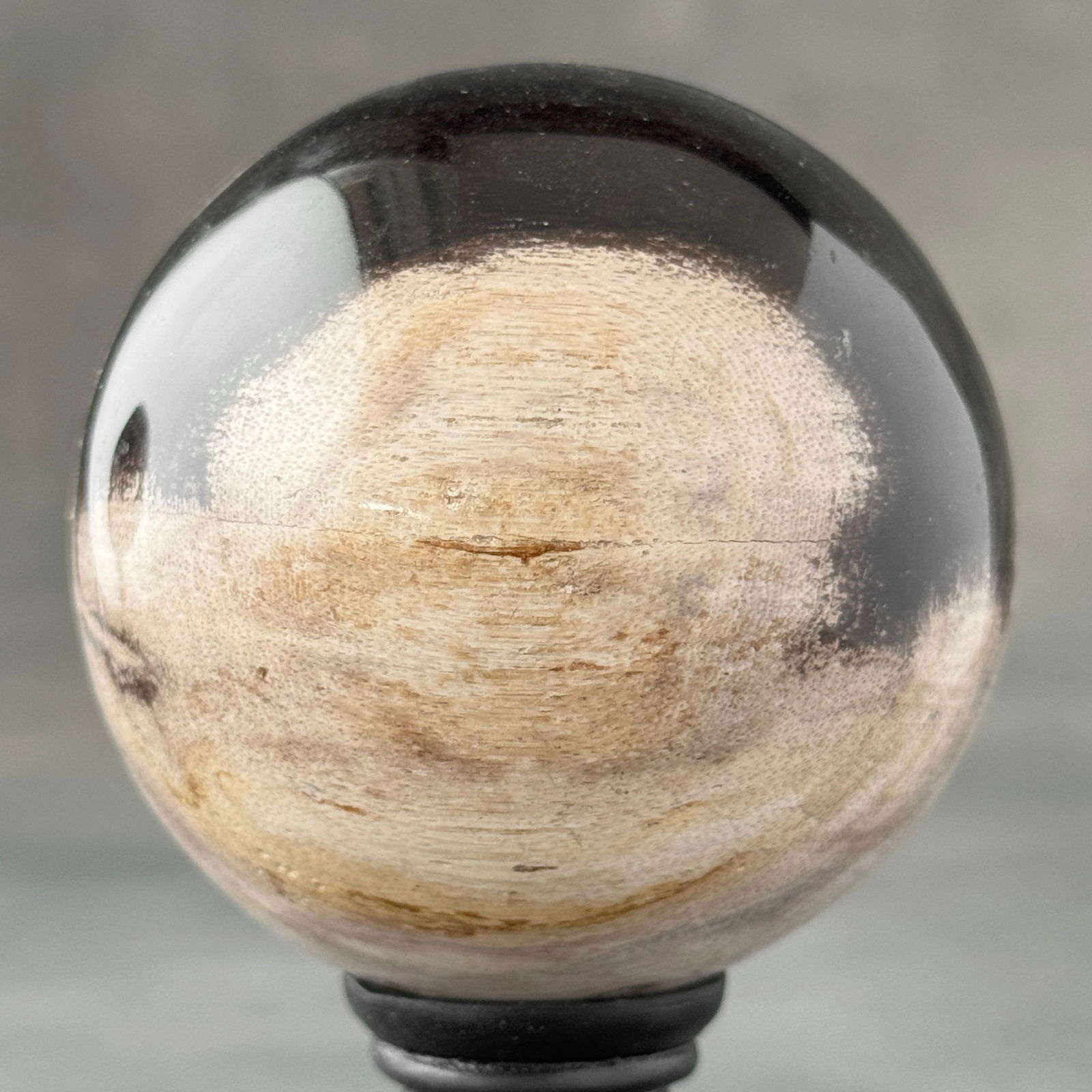 Wonderful set of 2 petrified wood spheres with stands - 8
