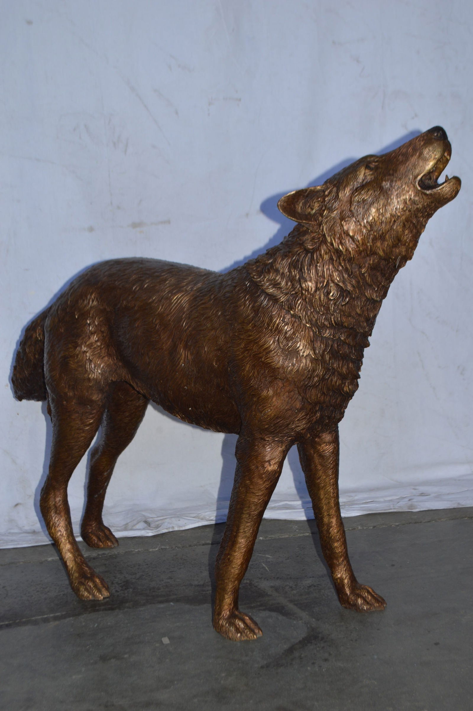 Wolf Standing and Howling Life Size Bronze Statue - Size: 45"L x 15"W x 34"H. - 10
