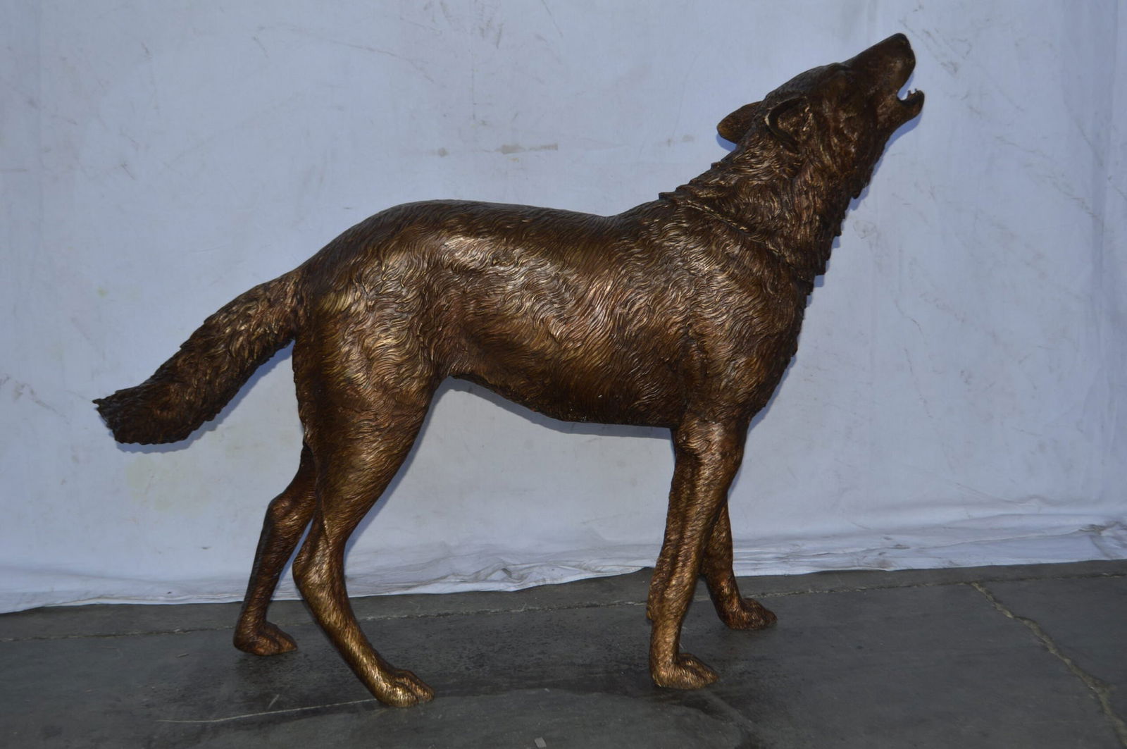 Wolf Standing and Howling Life Size Bronze Statue - Size: 45"L x 15"W x 34"H. - 11
