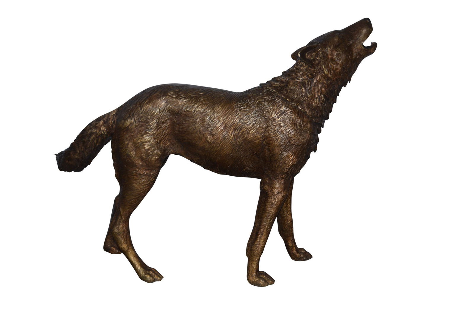 Wolf Standing and Howling Life Size Bronze Statue - Size: 45"L x 15"W x 34"H.: Title:Wolf Standing and Howling Life Size Bronze Statue - Size: 45"L x 15"W x 34"H. Description:Standing on the ground howling at the full moon, this wolf is calling for his friends. Shown in stunning