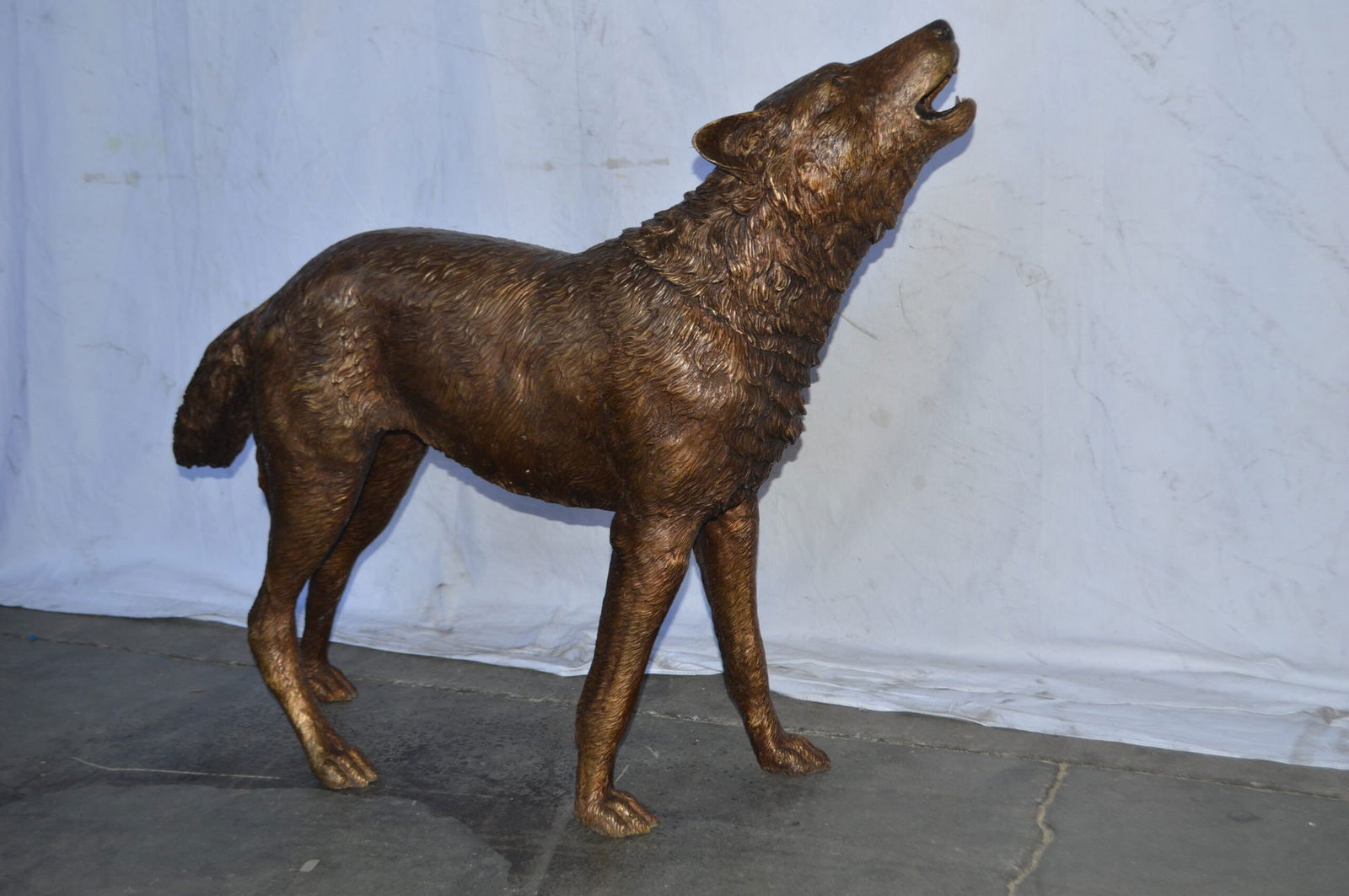 Wolf Standing and Howling Life Size Bronze Statue - Size: 45"L x 15"W x 34"H. - 2