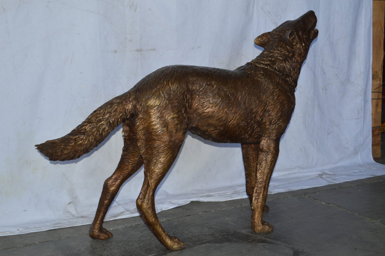 Wolf Standing and Howling Life Size Bronze Statue - Size: 45"L x 15"W x 34"H. - 3