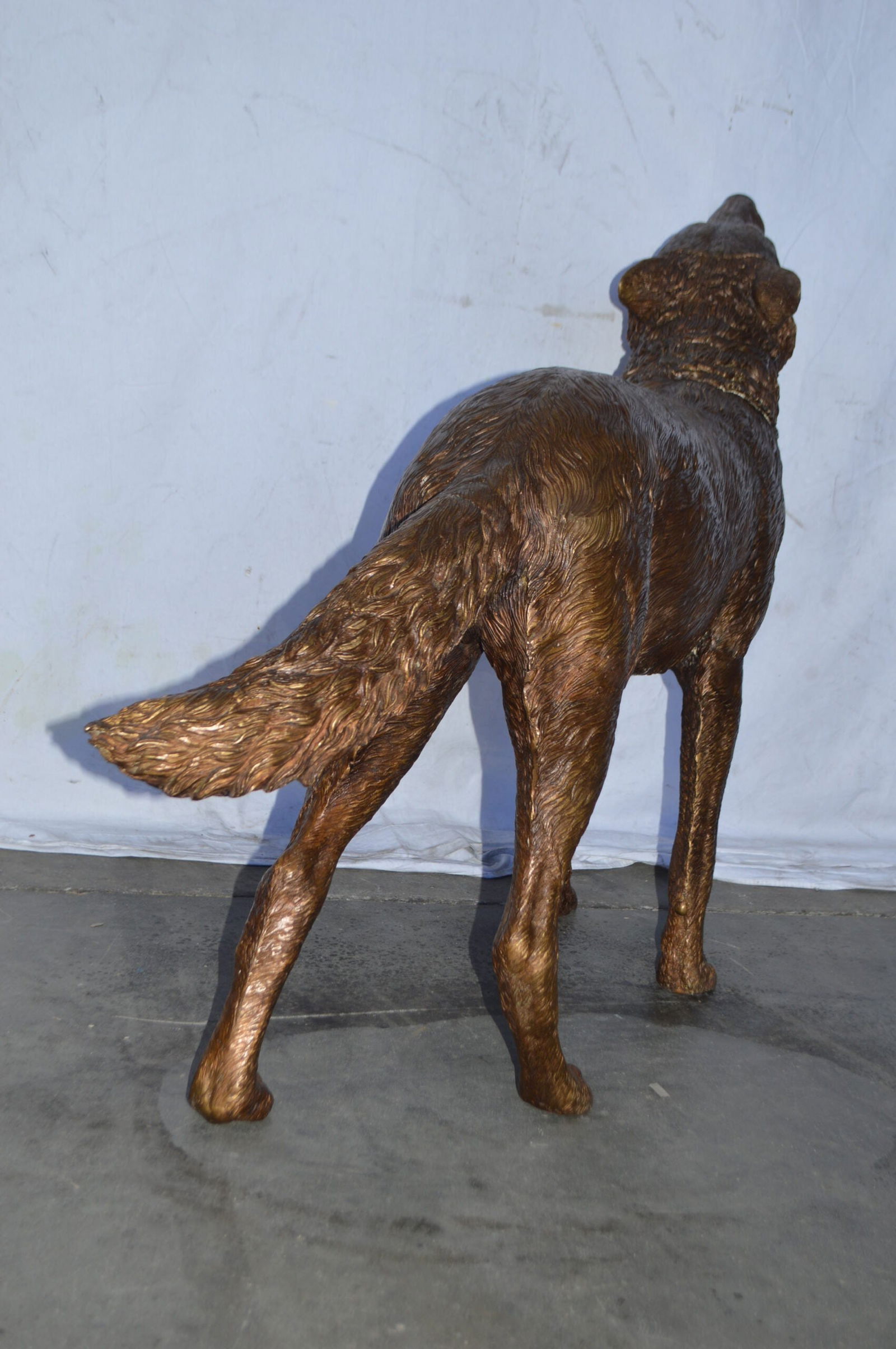 Wolf Standing and Howling Life Size Bronze Statue - Size: 45"L x 15"W x 34"H. - 4