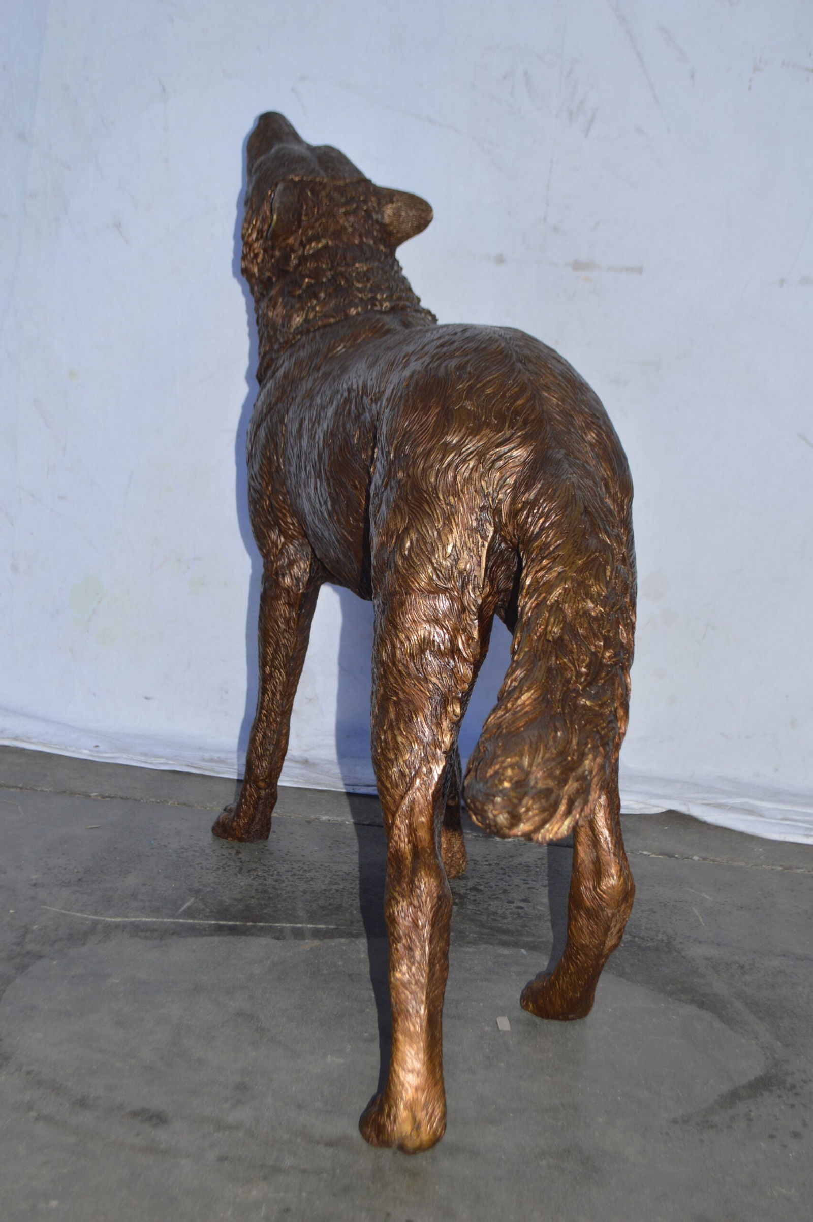 Wolf Standing and Howling Life Size Bronze Statue - Size: 45"L x 15"W x 34"H. - 5