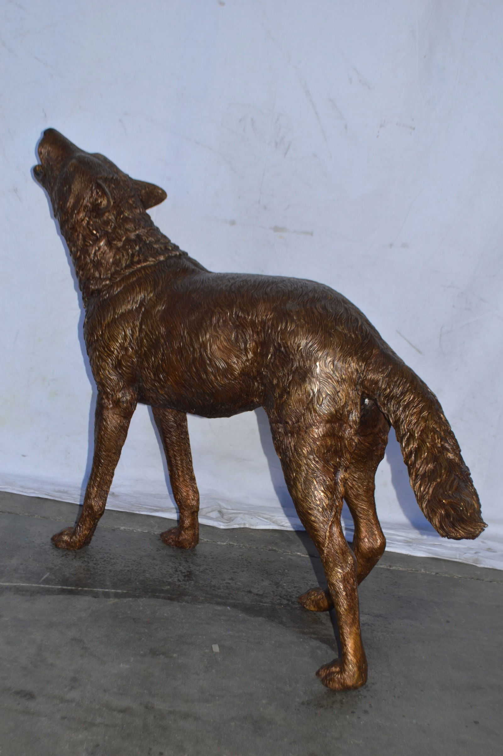 Wolf Standing and Howling Life Size Bronze Statue - Size: 45"L x 15"W x 34"H. - 6