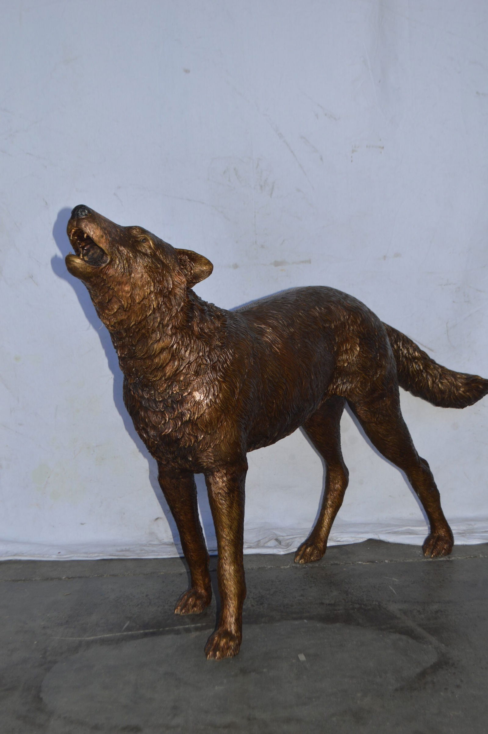 Wolf Standing and Howling Life Size Bronze Statue - Size: 45"L x 15"W x 34"H. - 8