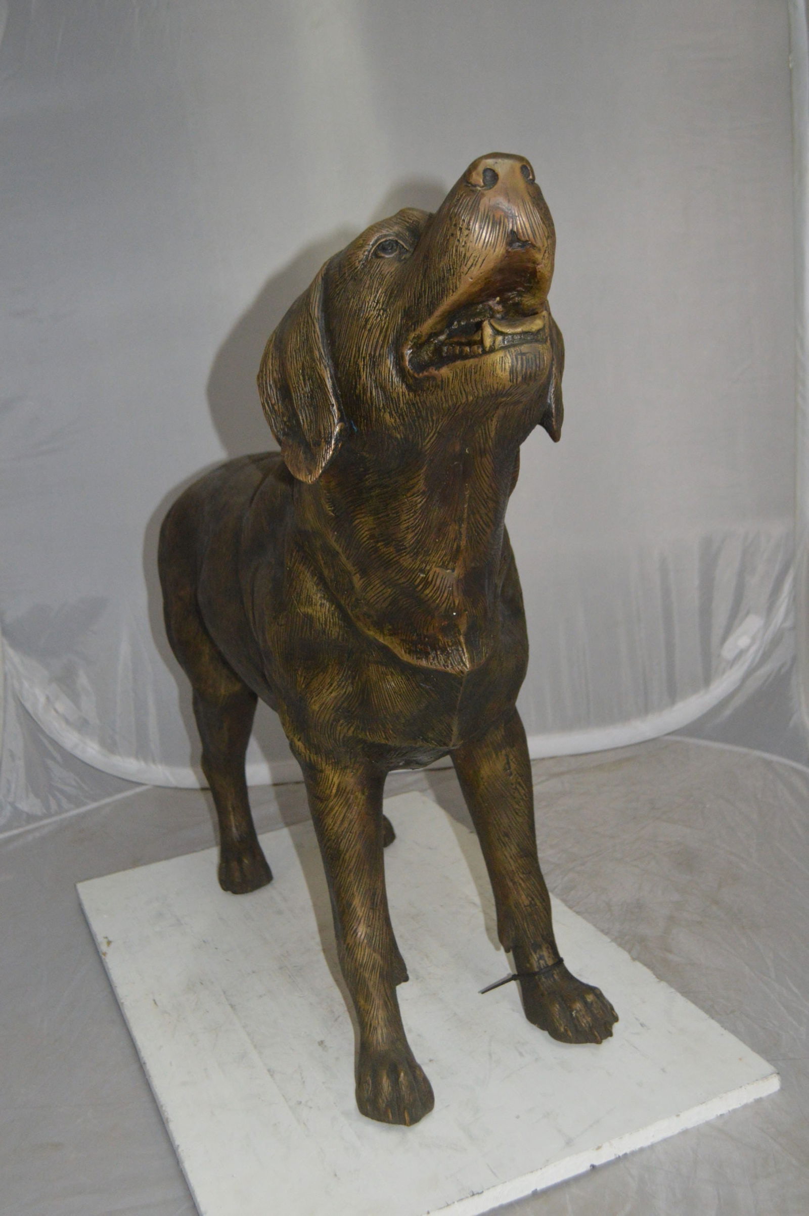Labrador Retriever Bronze Statue - Size: 12"L x 50"W x 31"H. - 10
