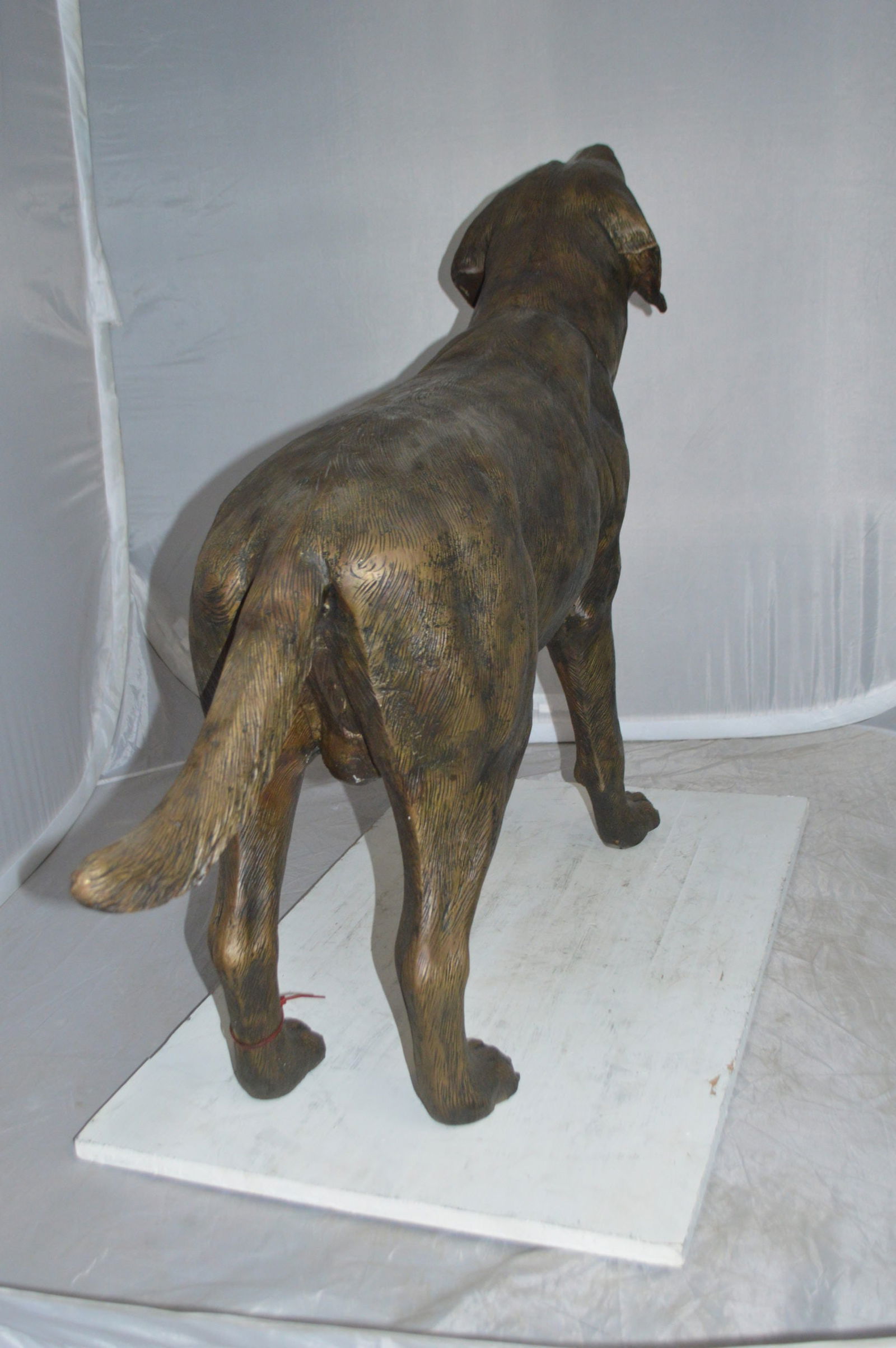 Labrador Retriever Bronze Statue - Size: 12"L x 50"W x 31"H. - 7