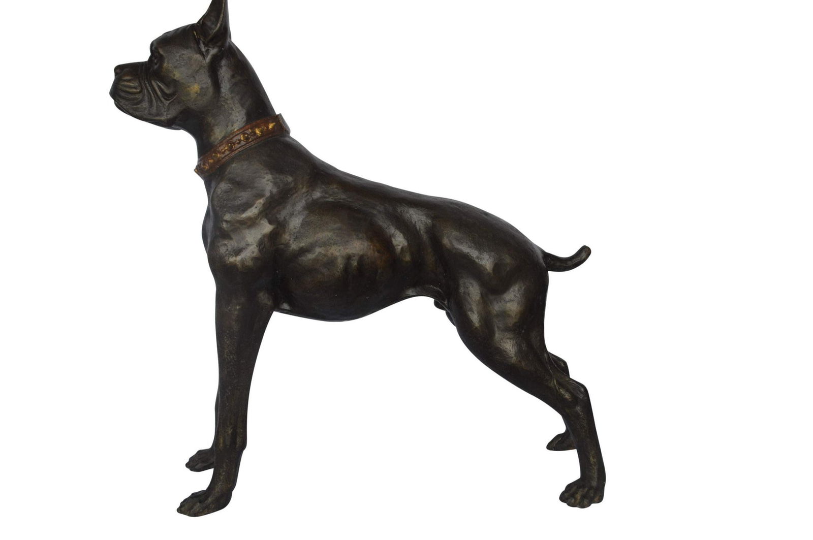 Boxer Dog bronze statue - Size: 35"L x 10"W x 36"H.: Title:Boxer Dog bronze statue - Size: 35"L x 10"W x 36"H.Description:This dog is a boxer and is mighty in his stance. Standing high on all four paws, the boxer dog is ready for any action that awaits