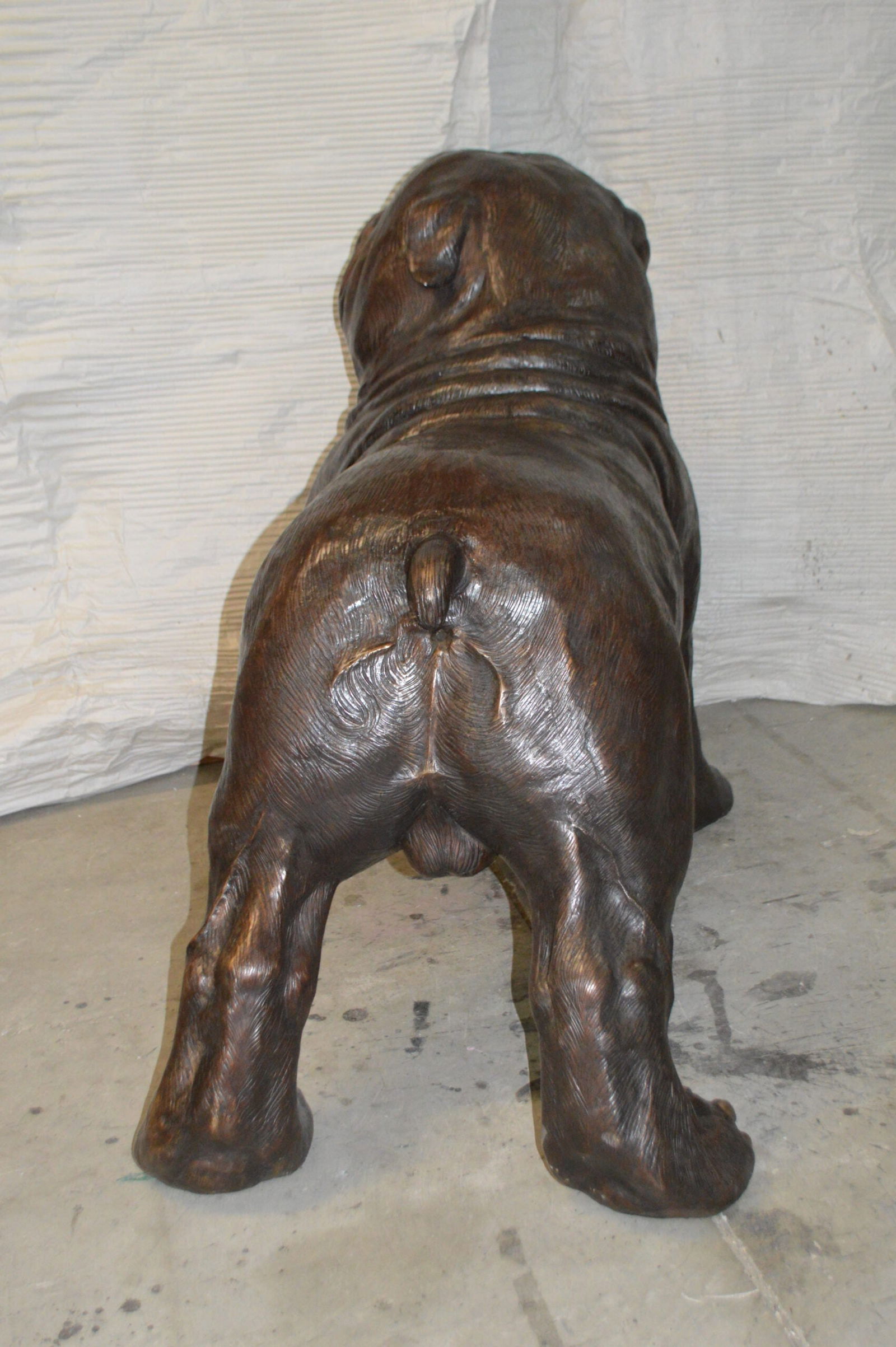 Bulldog Giant Bronze Statue - Size: 62"L x 26"W x 44"H. - 13