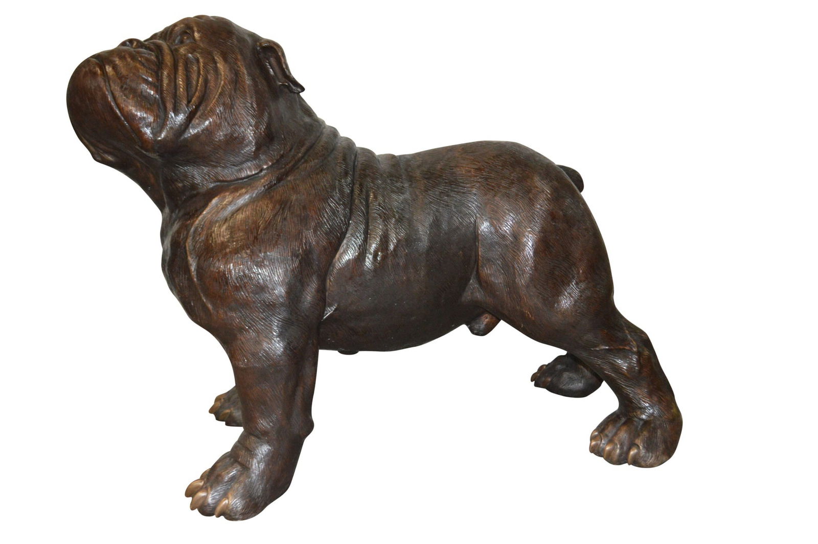 Bulldog Giant Bronze Statue - Size: 62"L x 26"W x 44"H. (1 of 13)