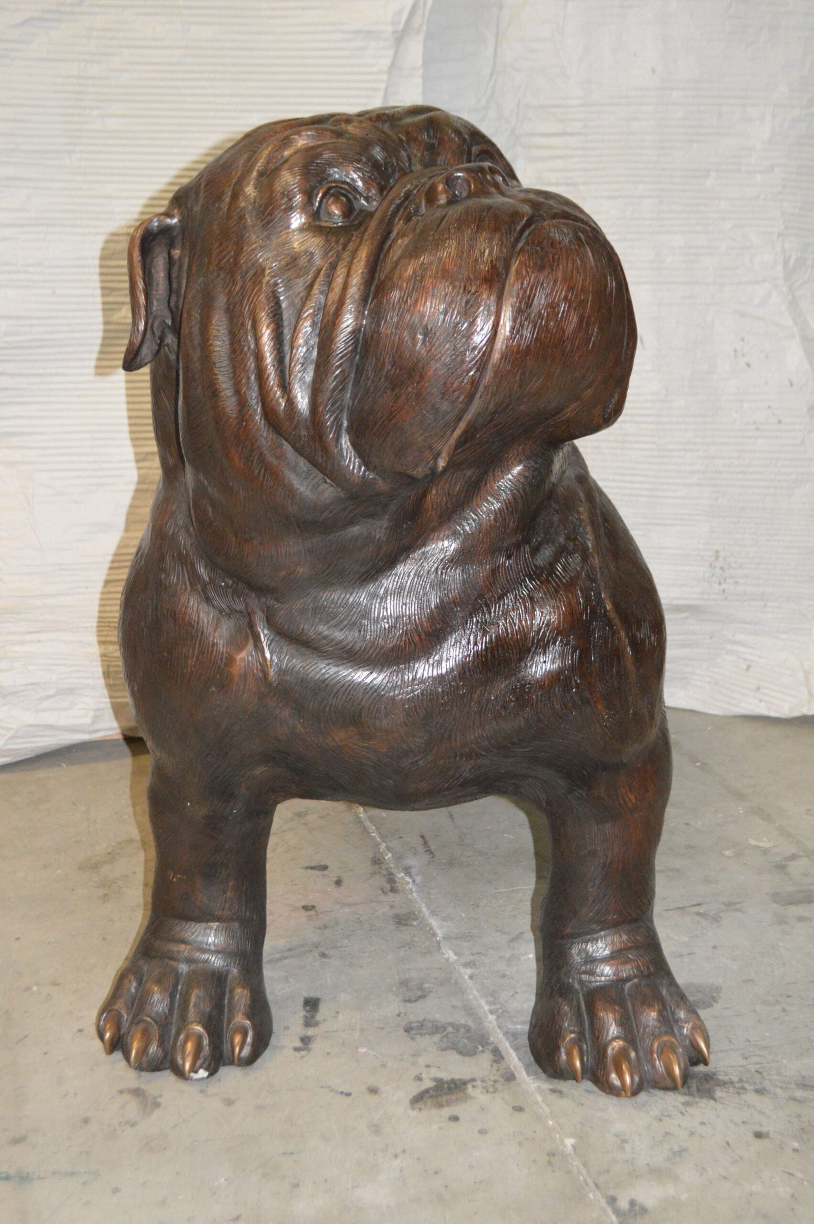 Bulldog Giant Bronze Statue - Size: 62"L x 26"W x 44"H. - 8