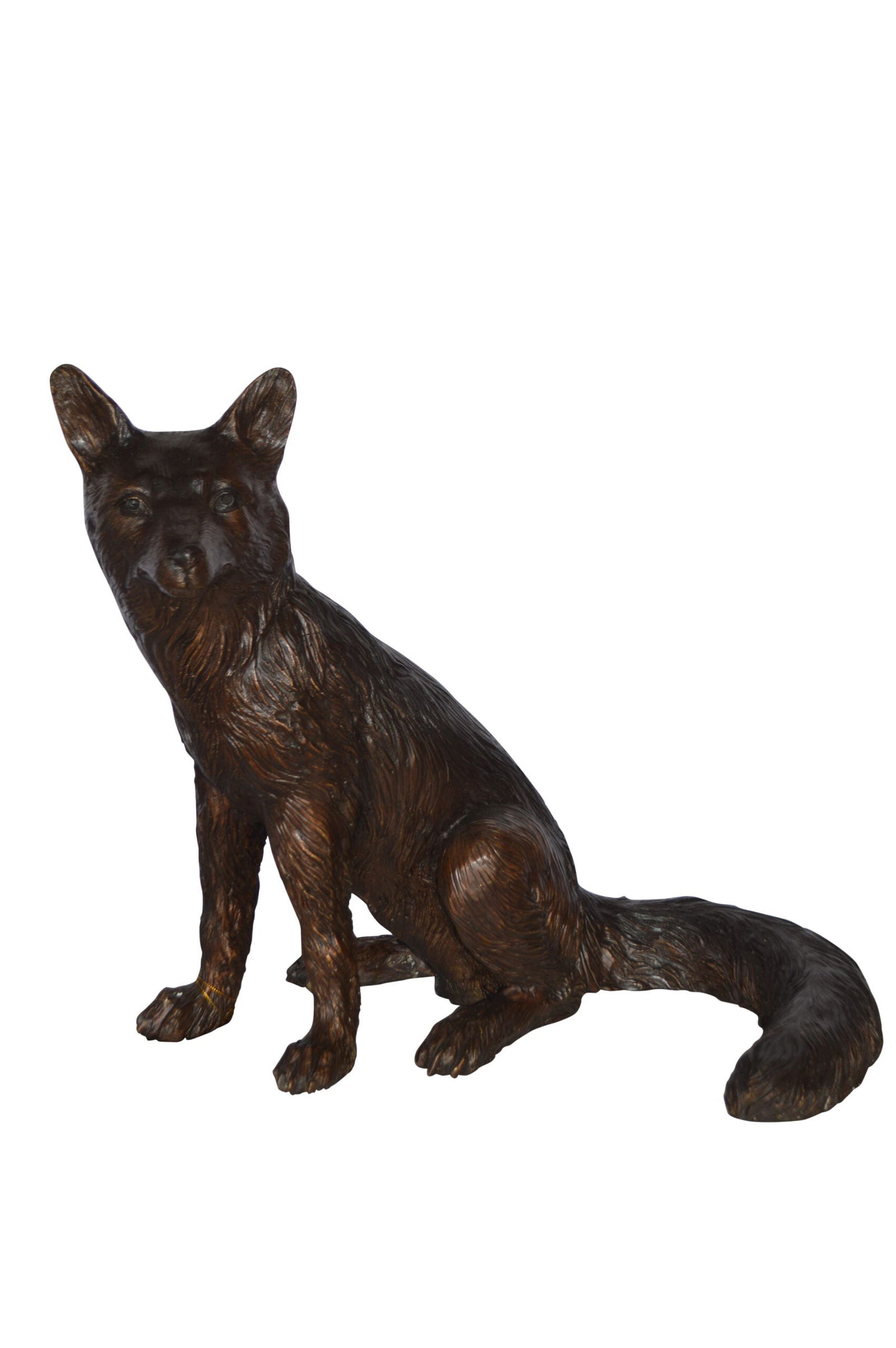 Fox Sitting Bronze Statue - Size: 23"L x 17"W x 20"H.: Title:Fox Sitting Bronze Statue - Size: 23"L x 17"W x 20"H. Description:A stunning Life size sitting Fox sculpture with fabulous muscle tone and poise that would make a great ornament for any bronze s